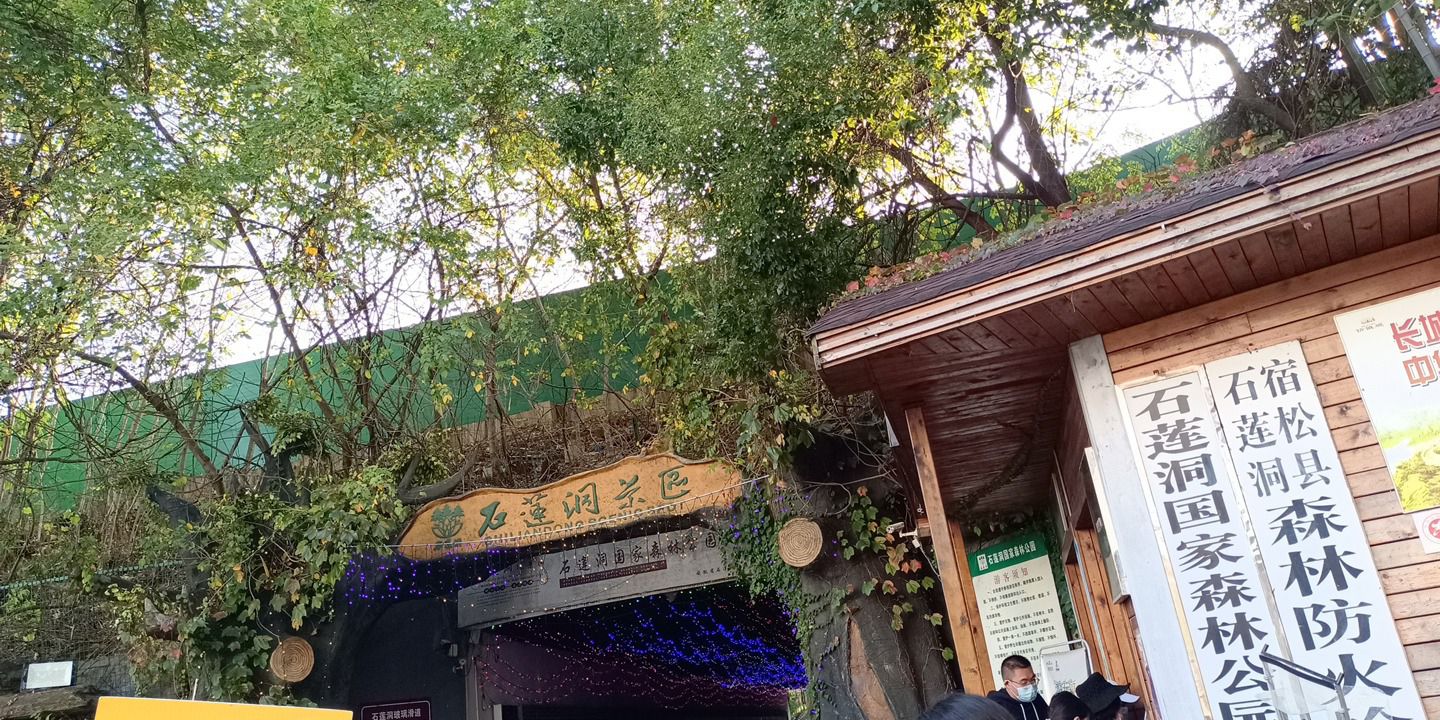 石莲洞国家森林公园旅行图片 1