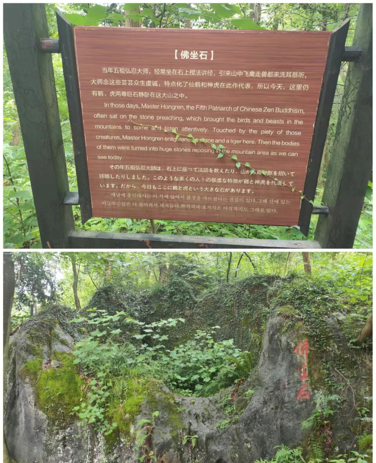石莲洞国家森林公园旅行图片 1