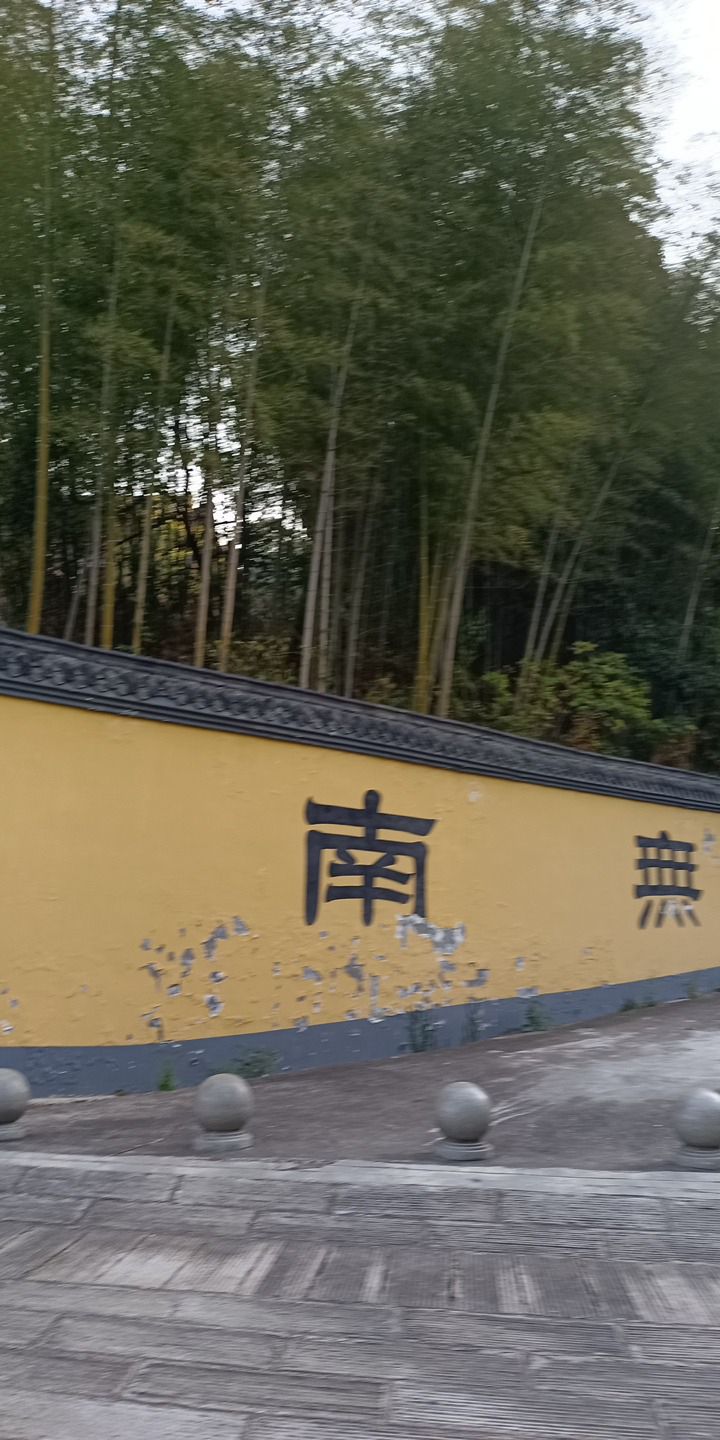 石莲洞国家森林公园旅行图片 3