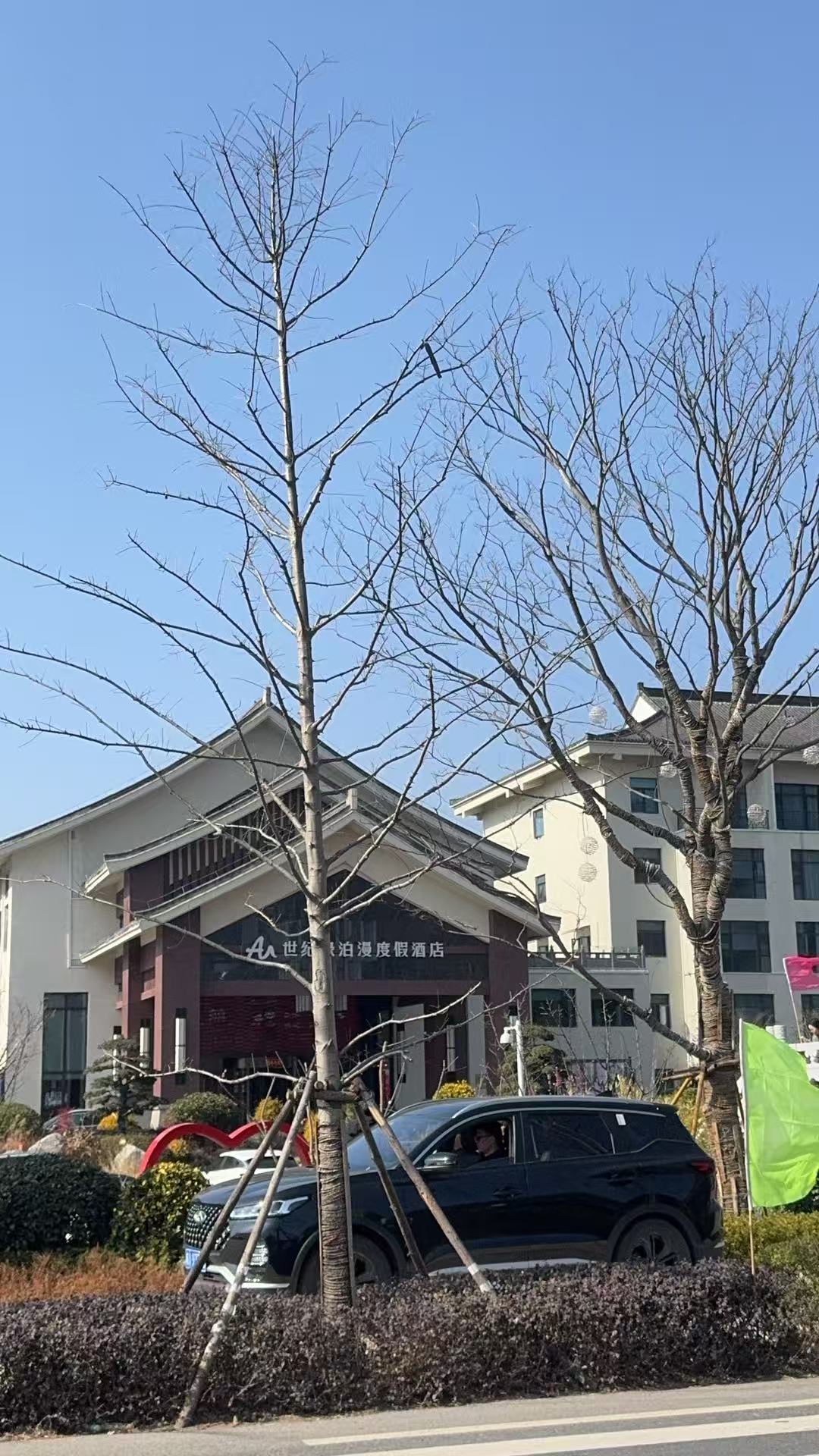 安徽浮山国家地质公园旅行图片 3