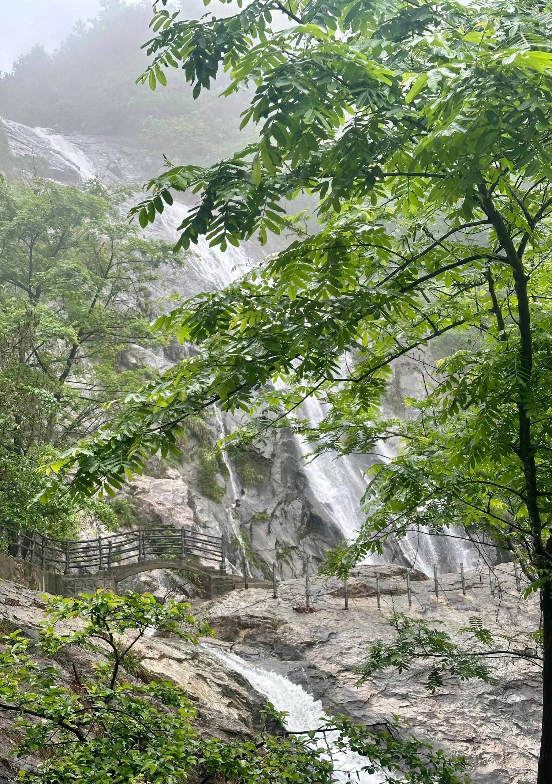天柱大峡谷旅行图片 2