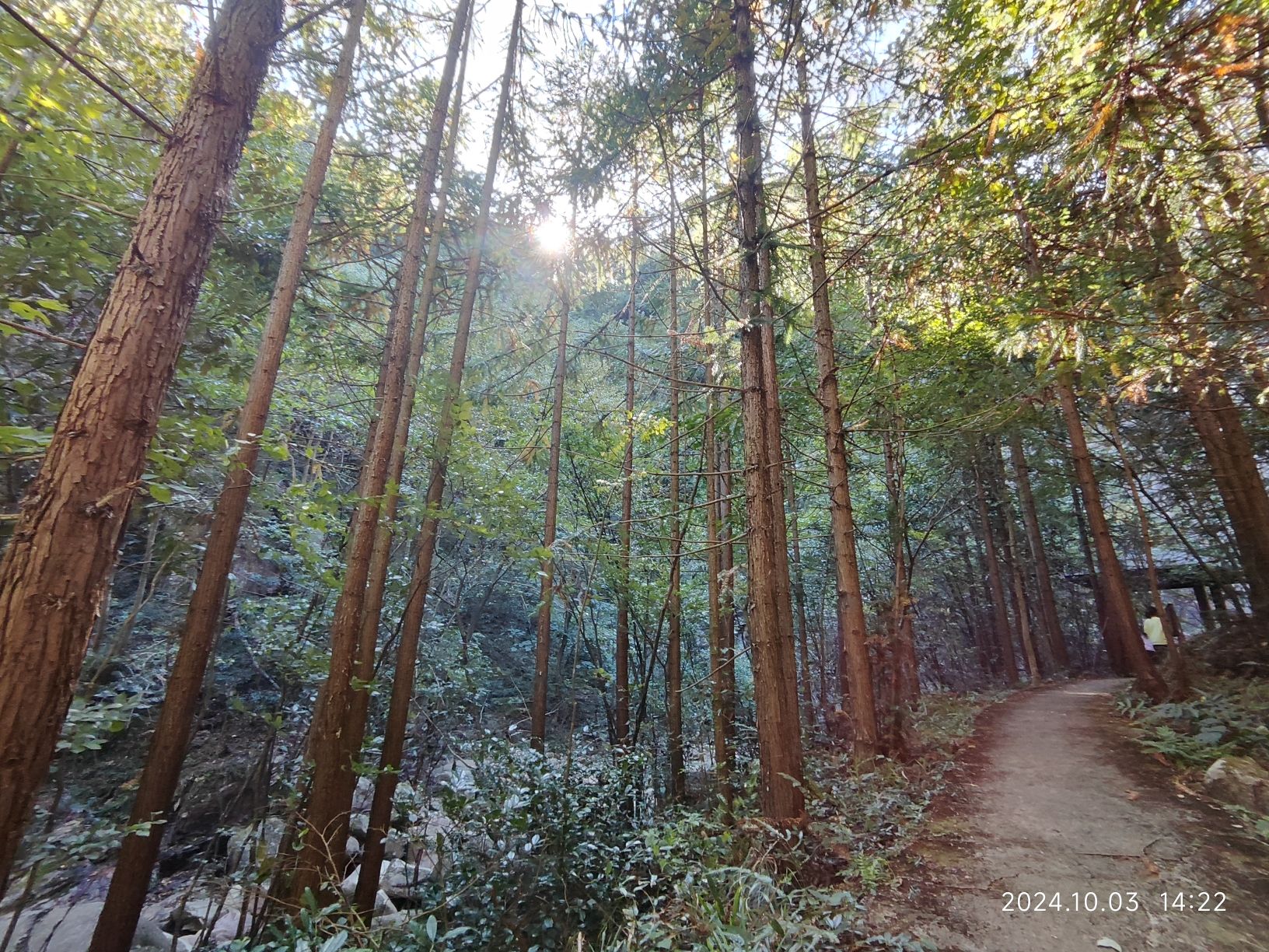 板仓自然保护区旅行图片 2