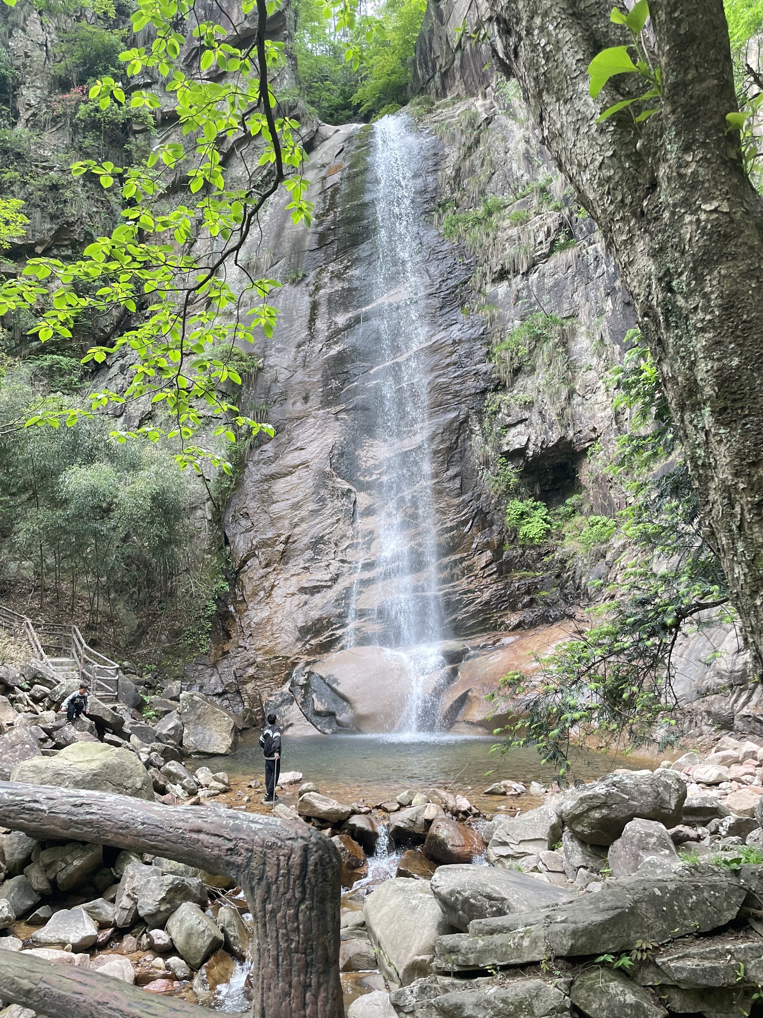 板仓自然保护区旅行图片 1