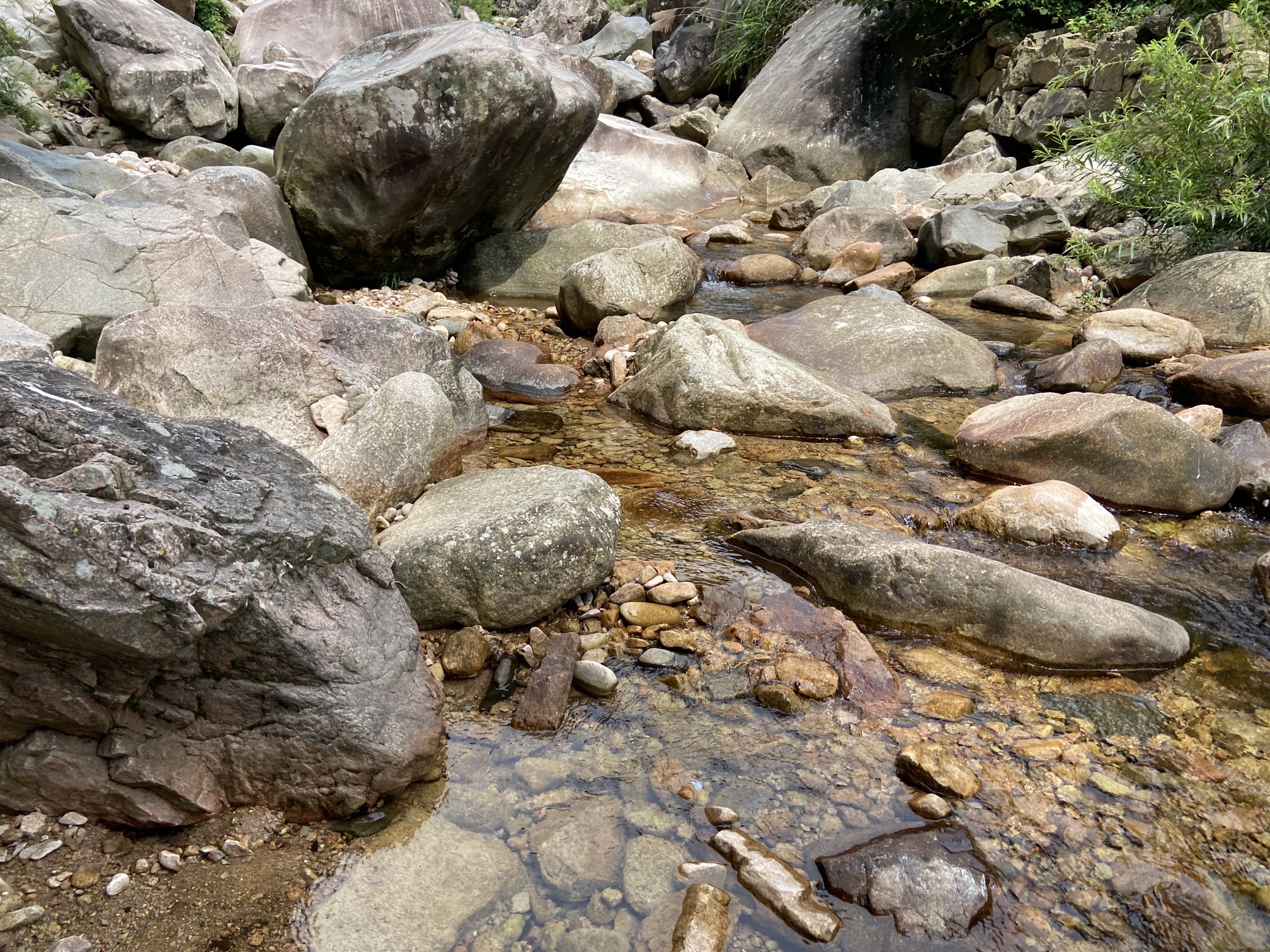 板仓自然保护区旅行图片 3