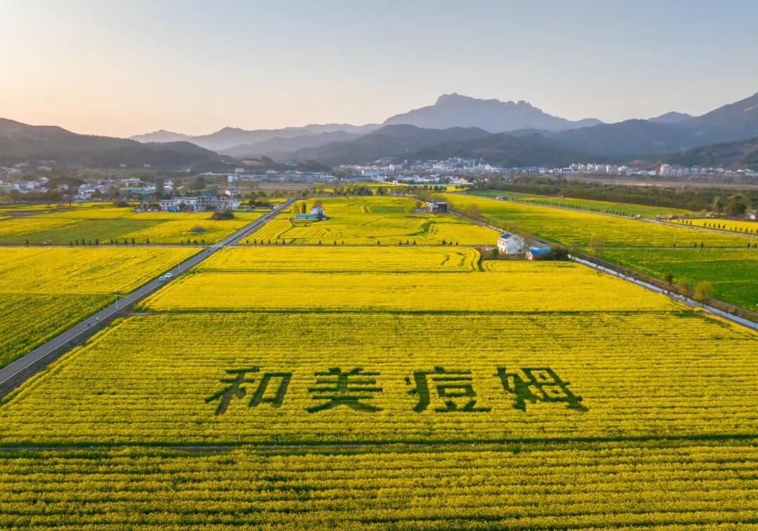 潜山皖光苑旅行图片 3