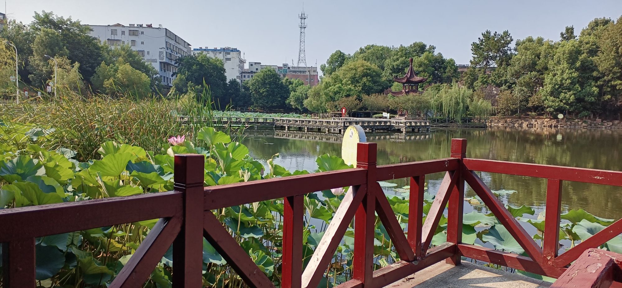 府前公园旅行图片 2