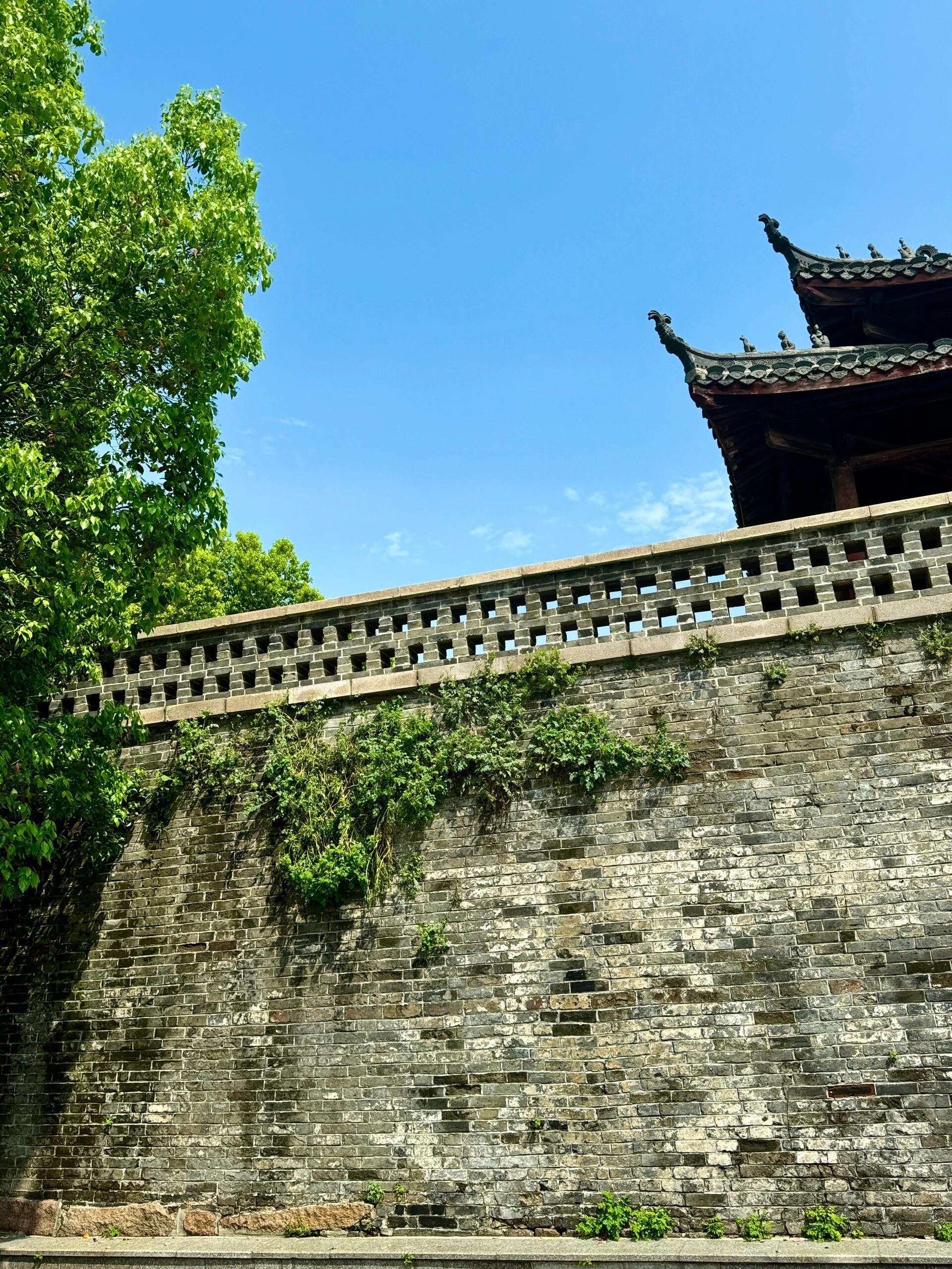 谯楼旅行图片 3