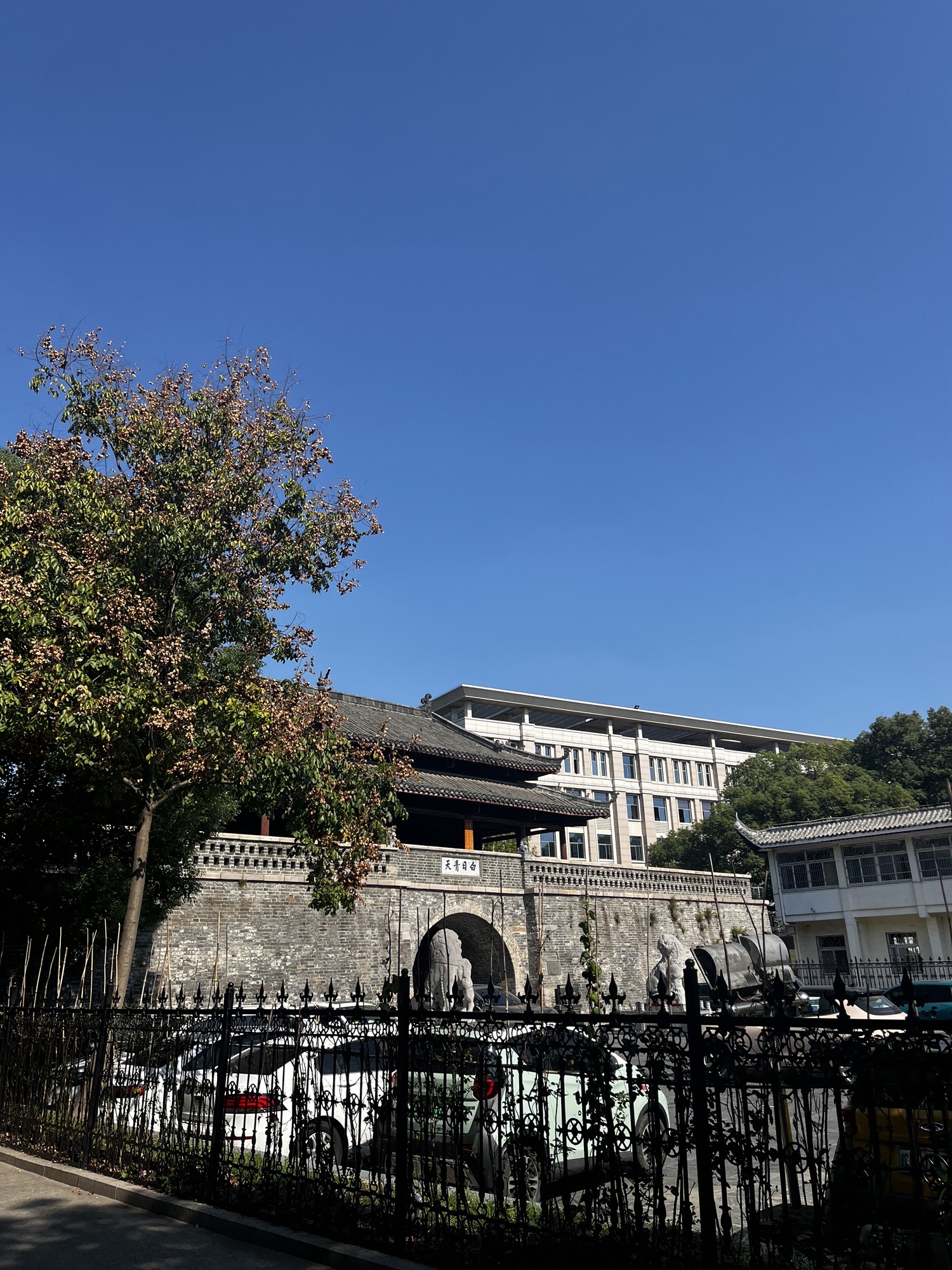 谯楼旅行图片 3