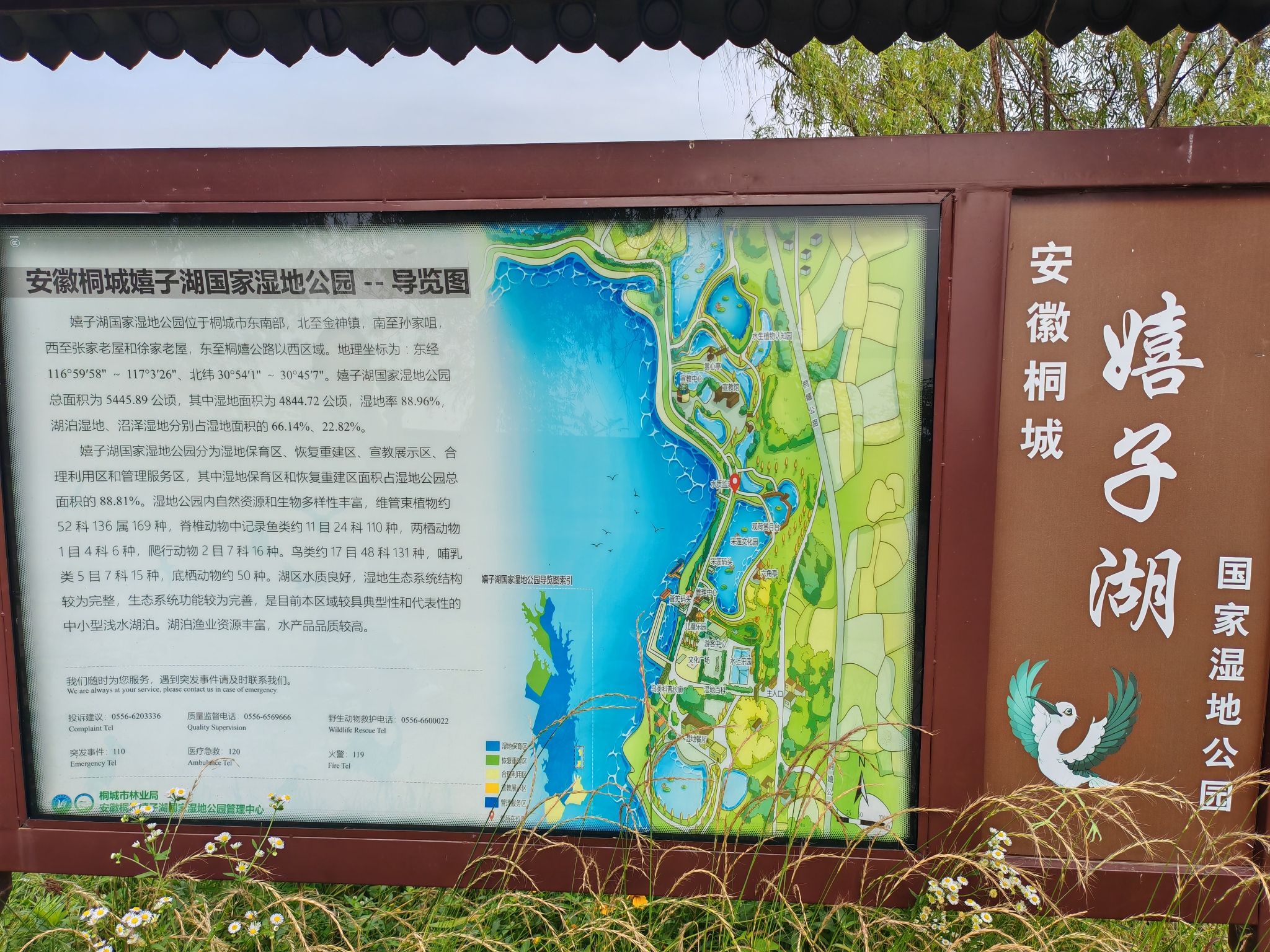 嬉子湖生态旅游区旅行图片 3