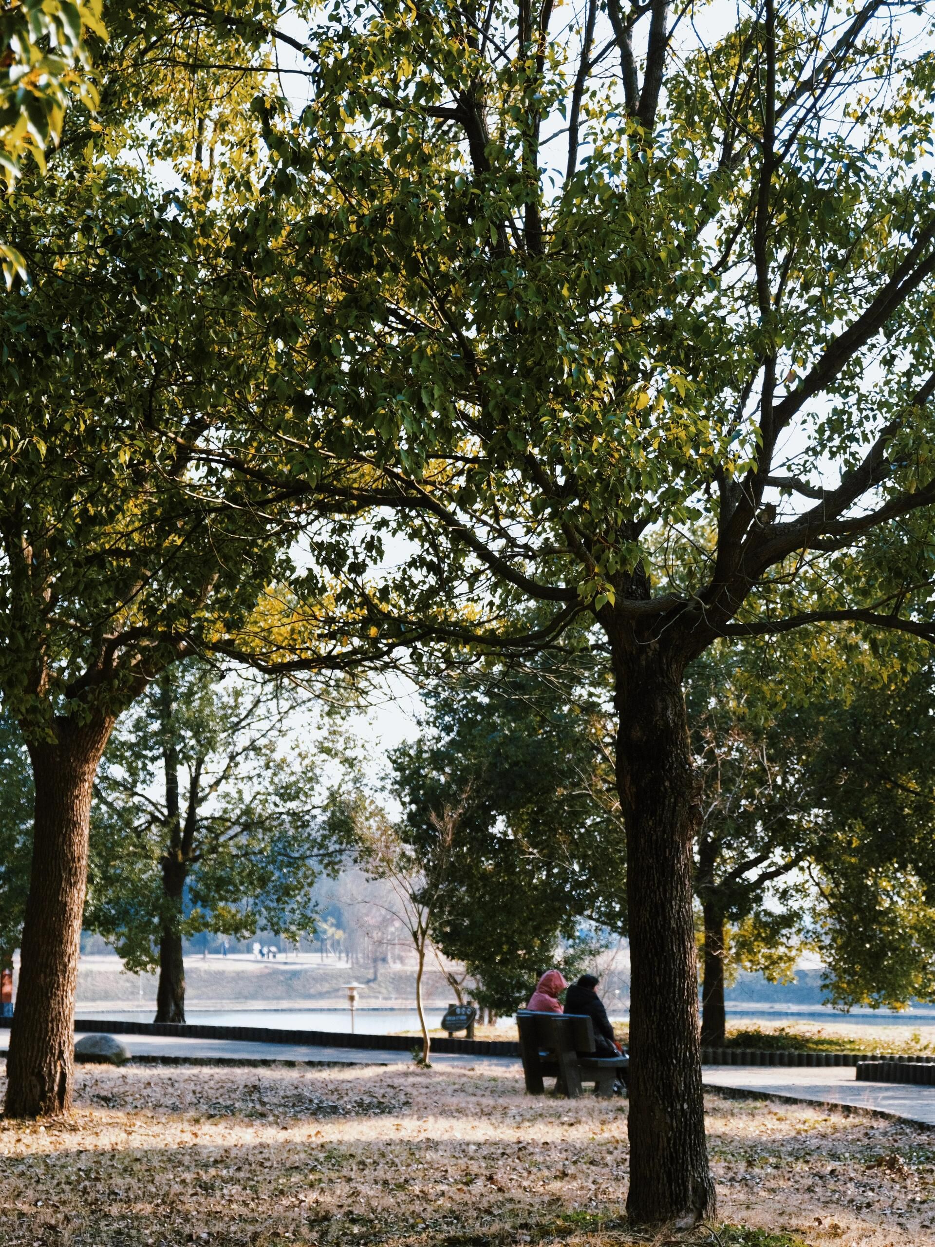 嬉子湖生态旅游区旅行图片 1