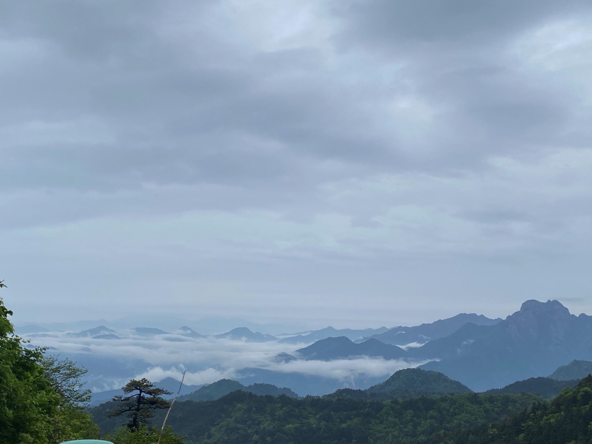 妙道山国家森林公园旅行图片 1