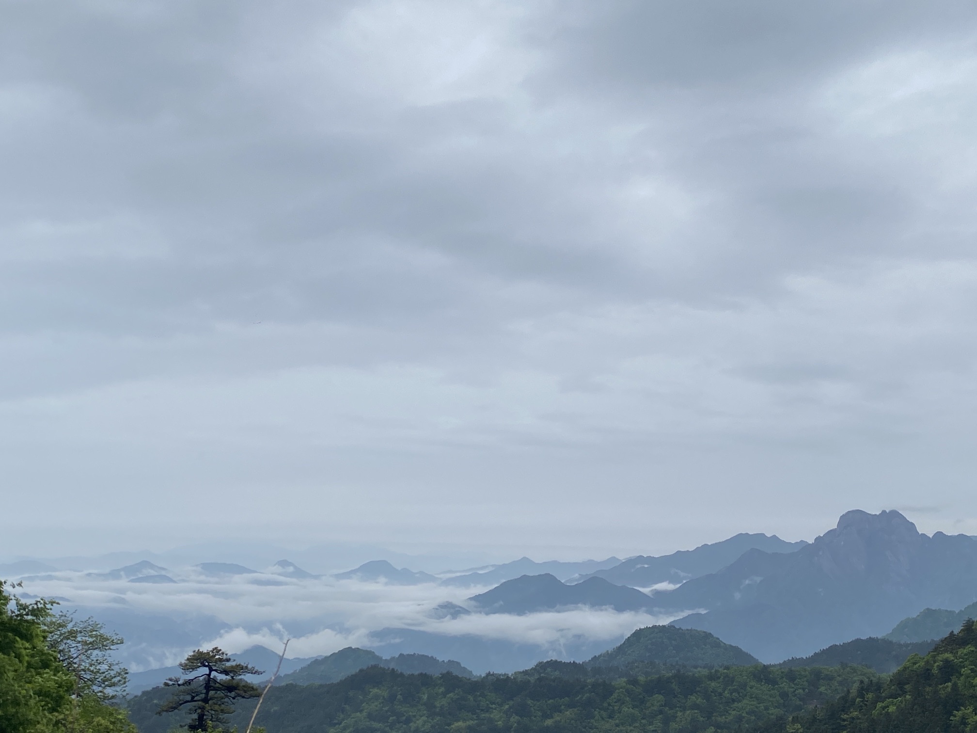 妙道山国家森林公园旅行图片 2
