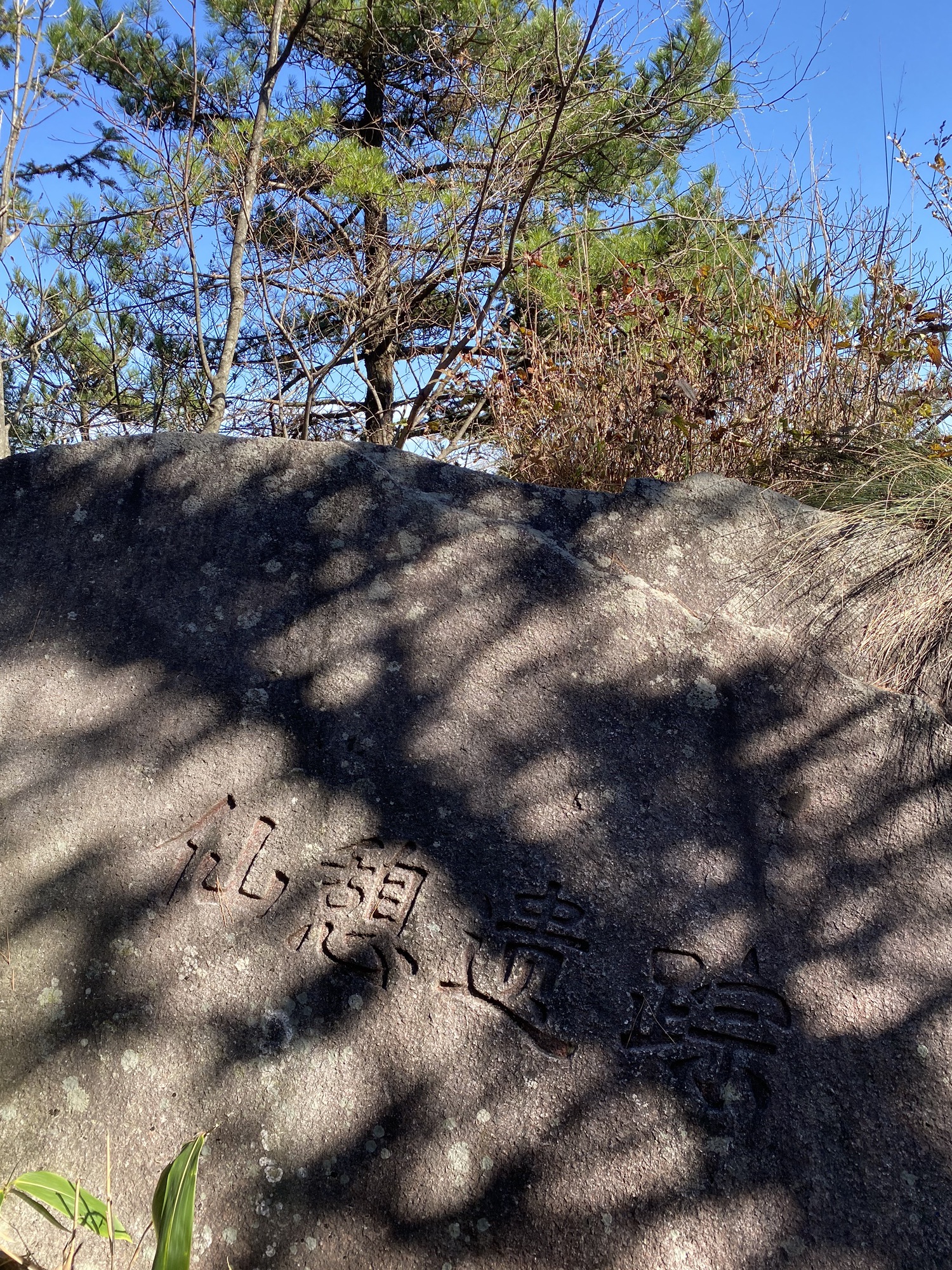 妙道山国家森林公园旅行图片 3