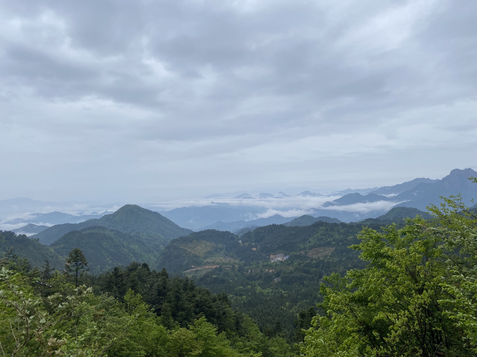 妙道山国家森林公园旅行图片 3