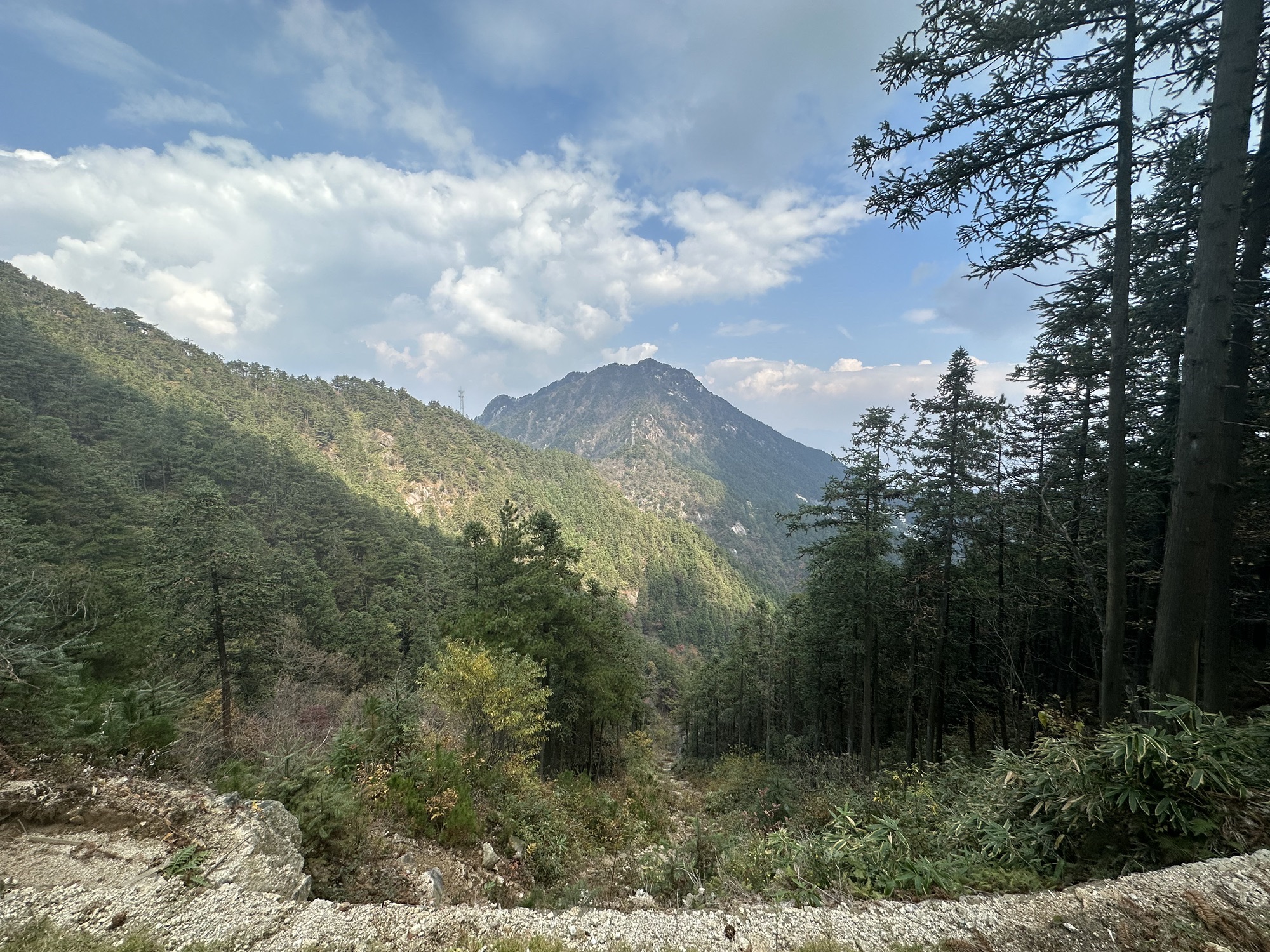 妙道山国家森林公园旅行图片 2