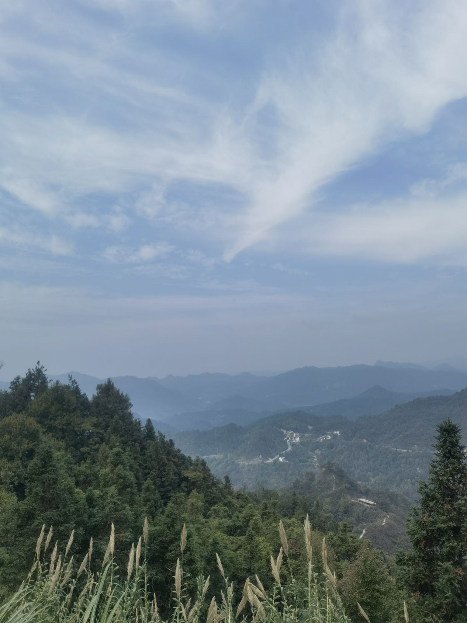 妙道山国家森林公园旅行图片 3