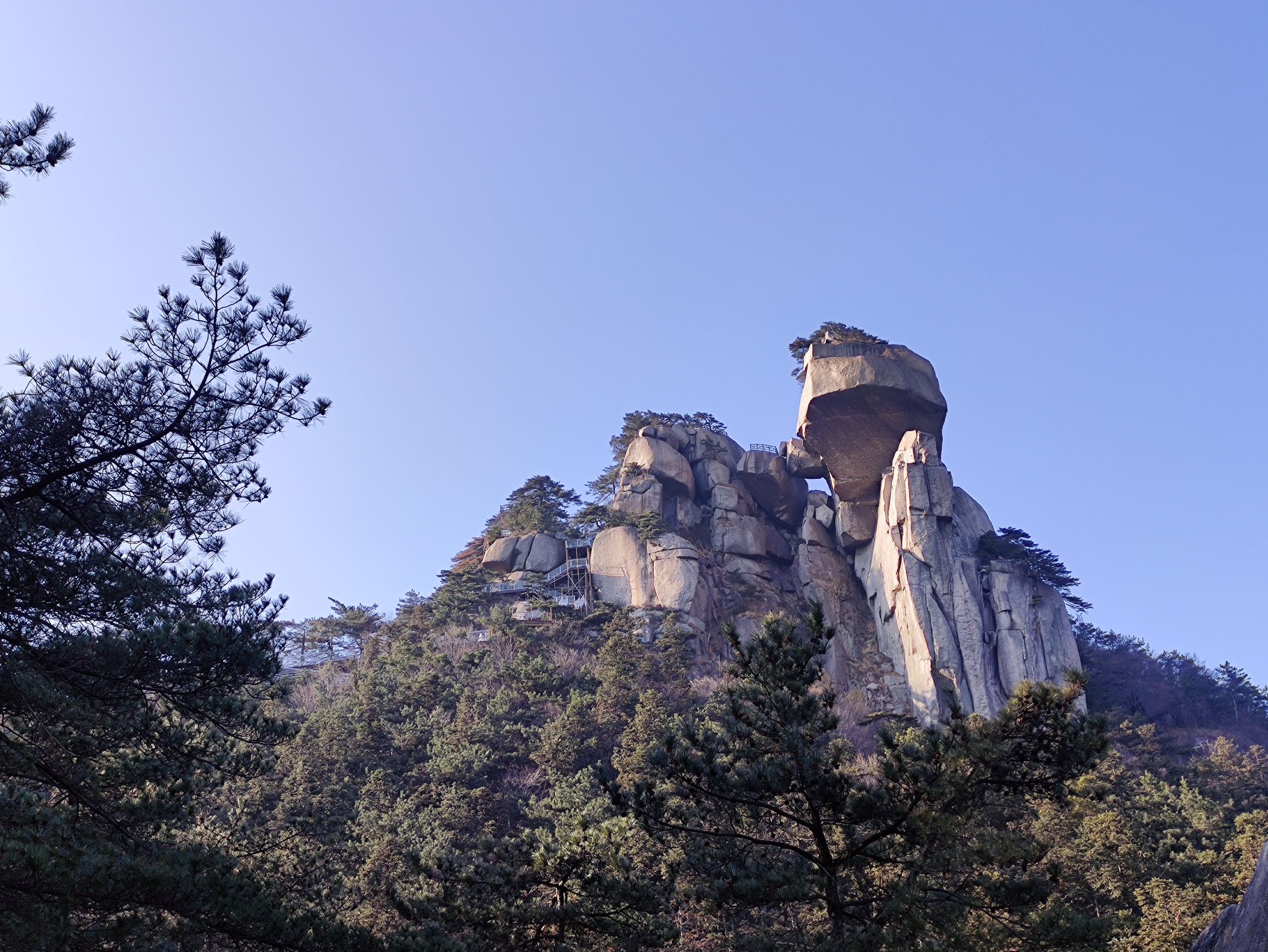 妙道山国家森林公园旅行图片 3