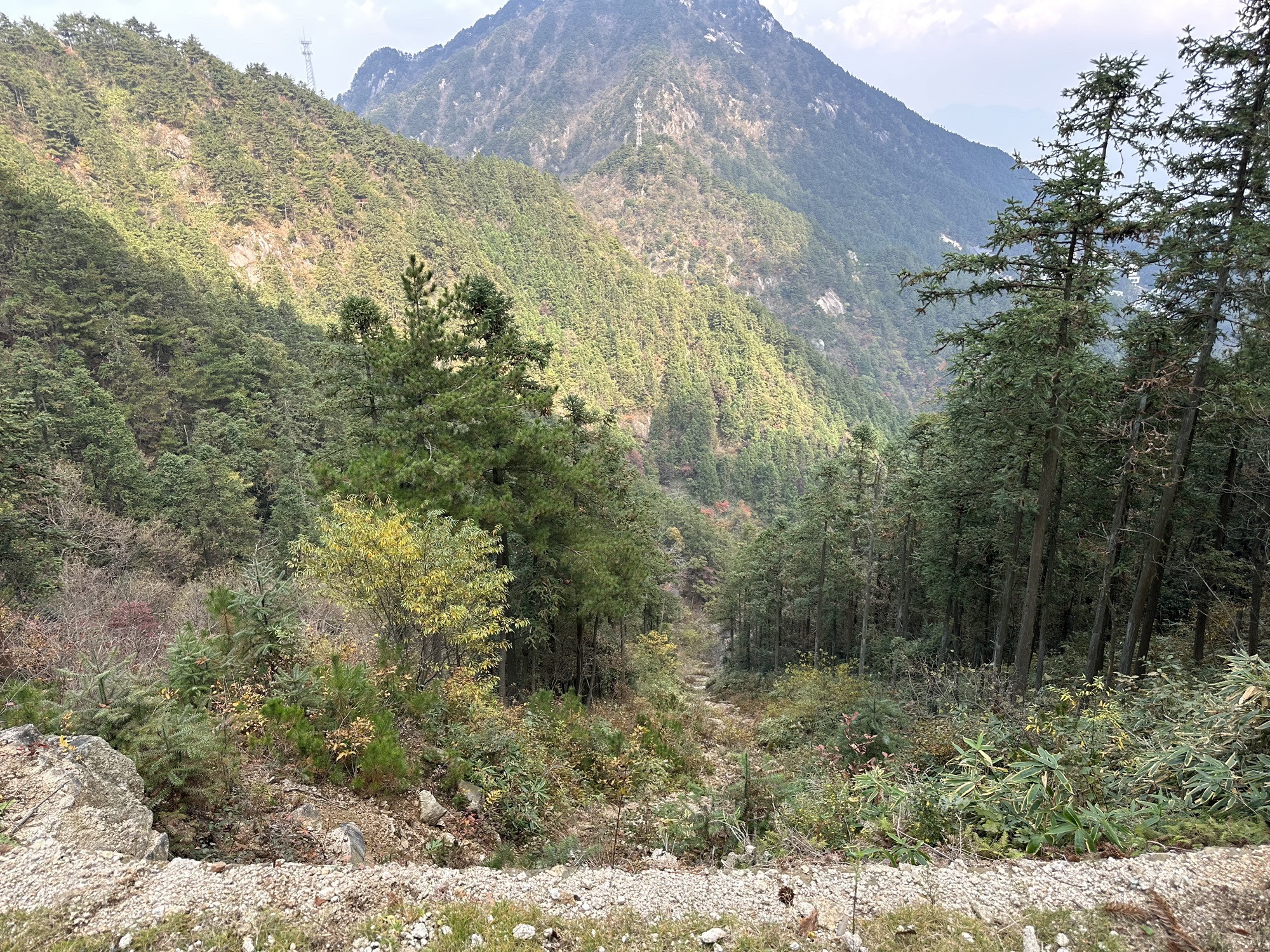 妙道山国家森林公园旅行图片 1