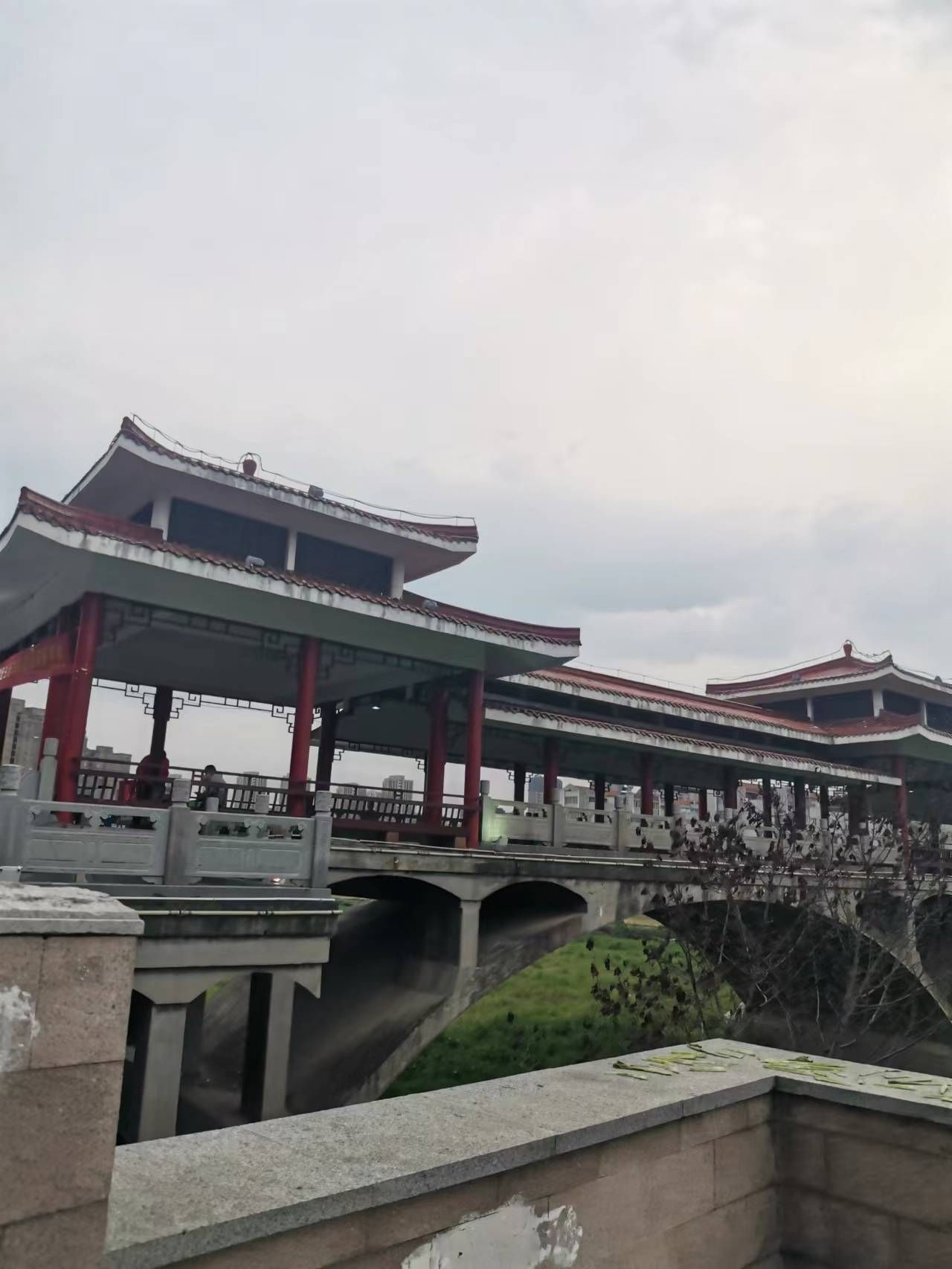 龙眠河公园旅行图片 1