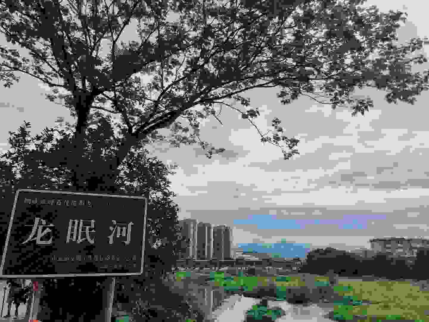 龙眠河公园旅行图片 2