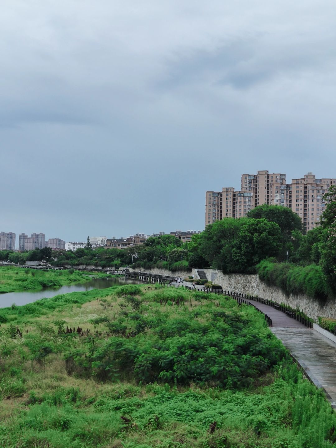 龙眠河公园旅行图片 3