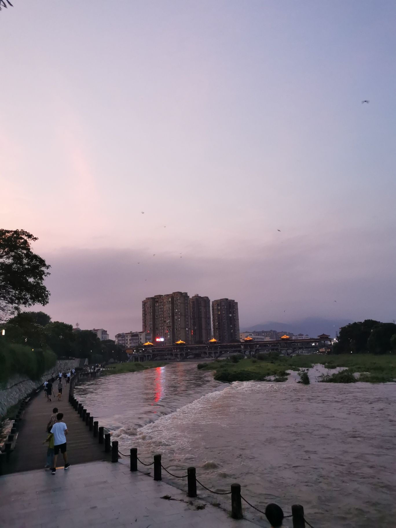 龙眠河公园旅行图片 2