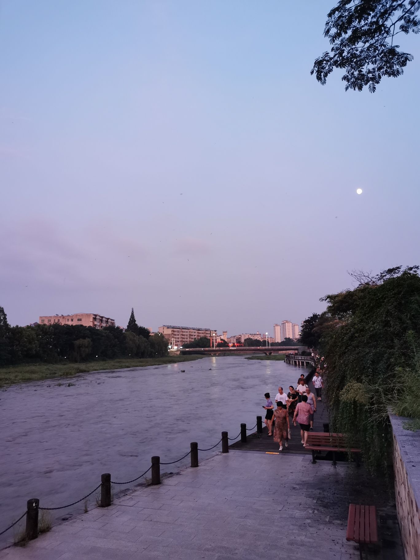 龙眠河公园旅行图片 1