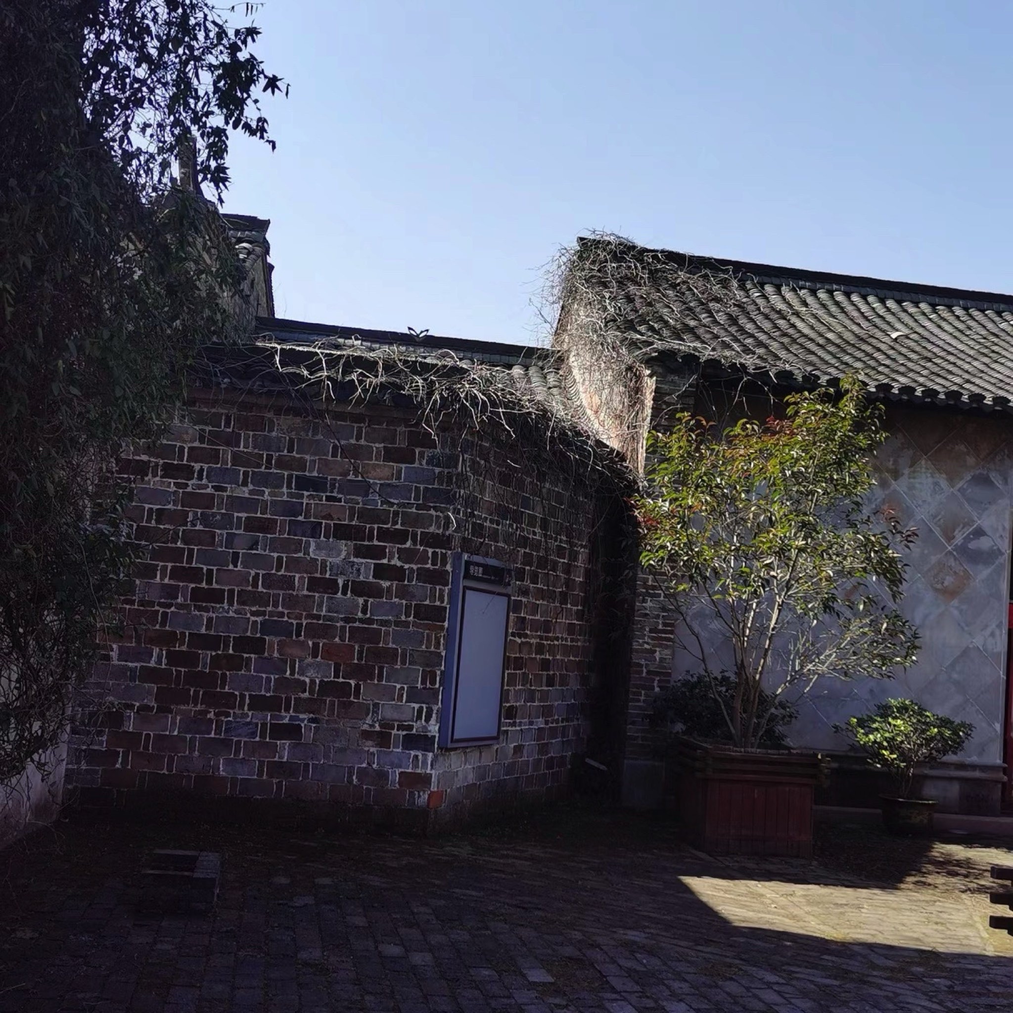 桐城孔城老街旅行图片 2