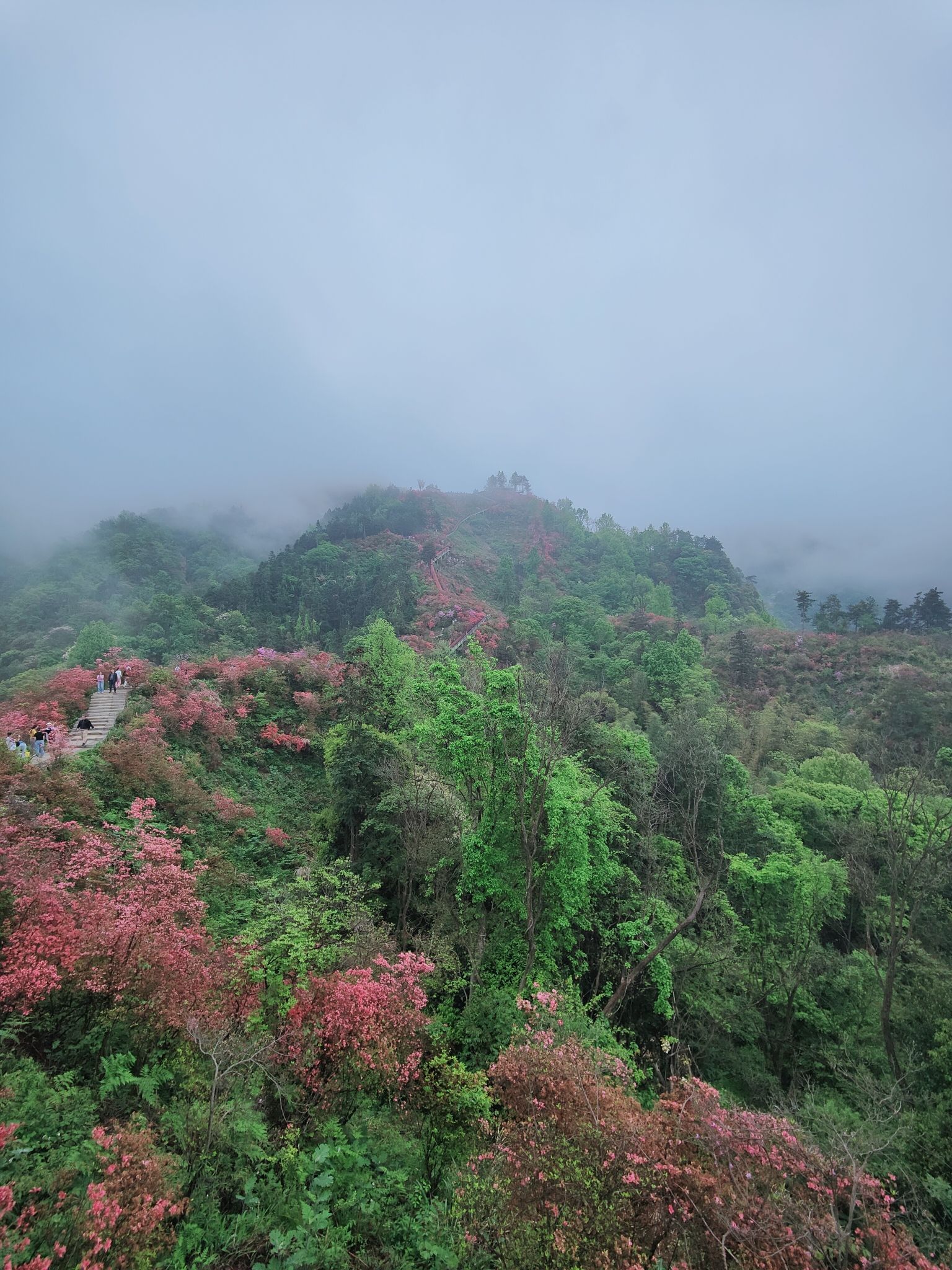 天峡风景区旅行图片 2