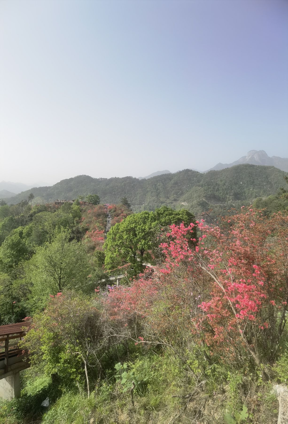 天峡风景区旅行图片 2