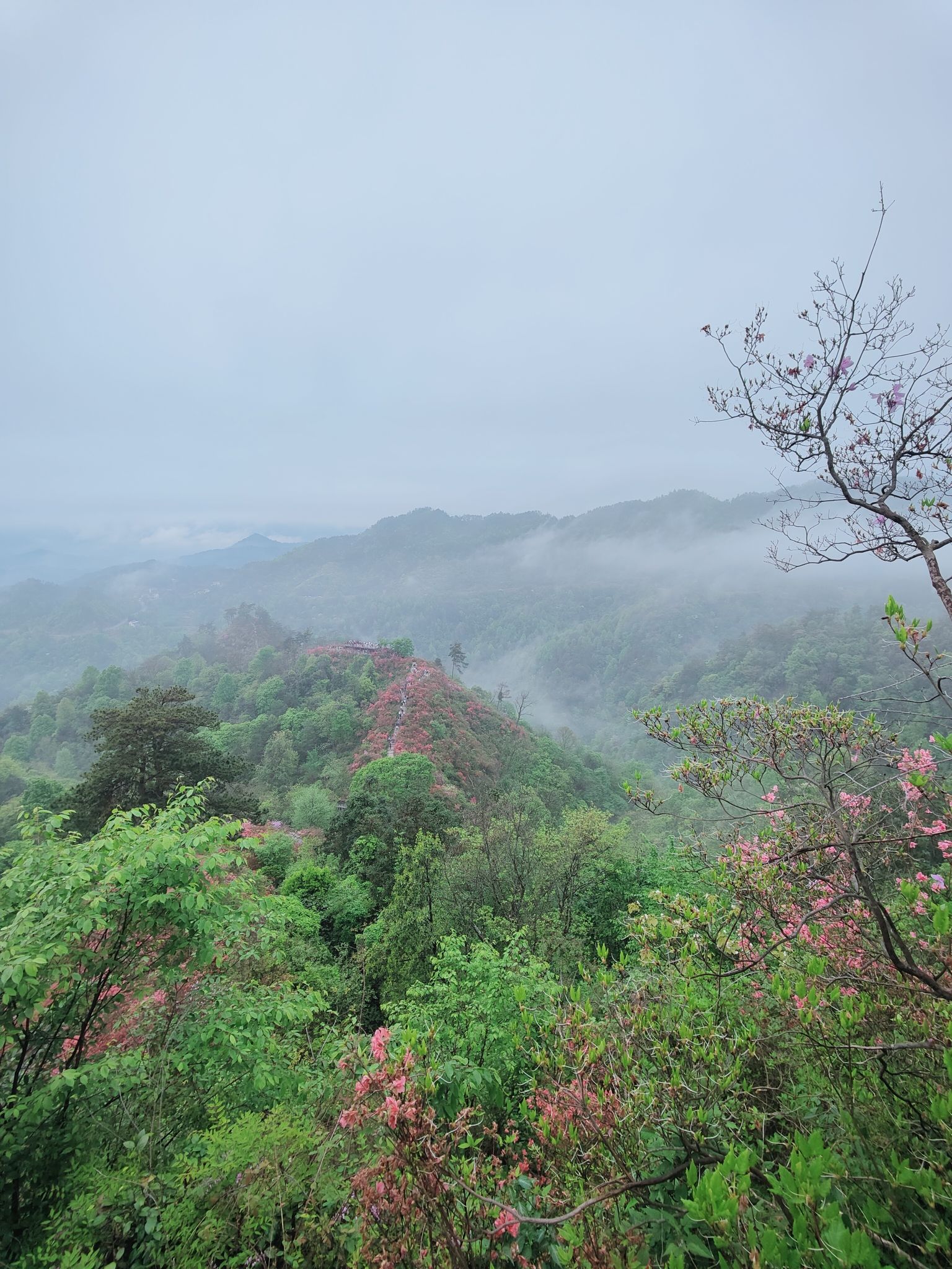 天峡风景区旅行图片 3