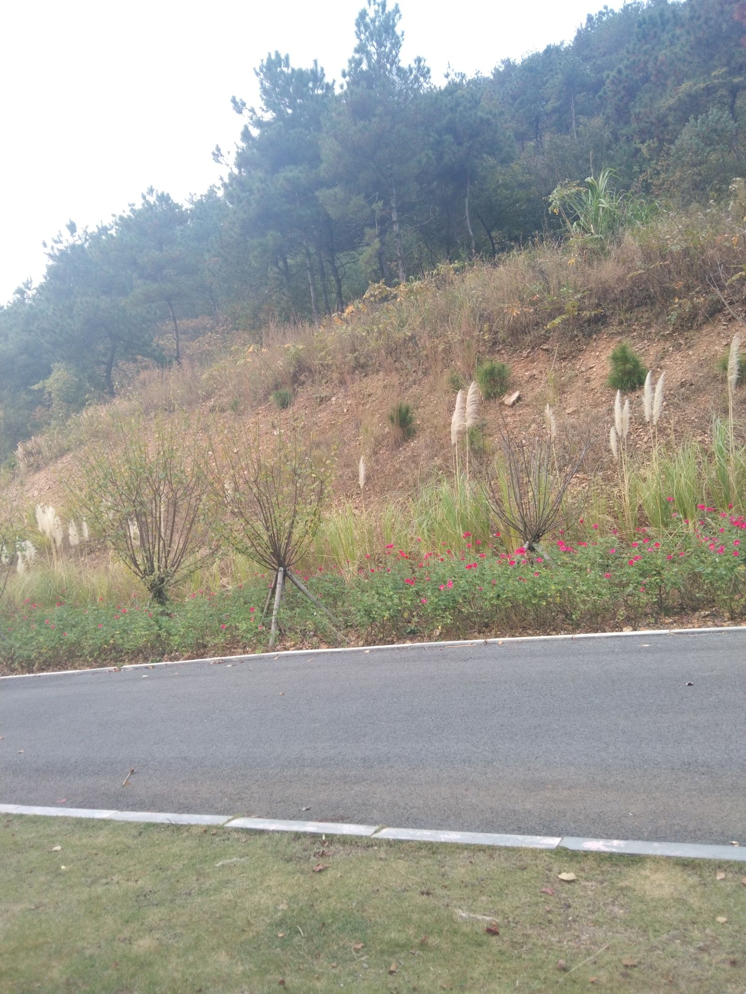 独秀山观音洞风景区旅行图片 1