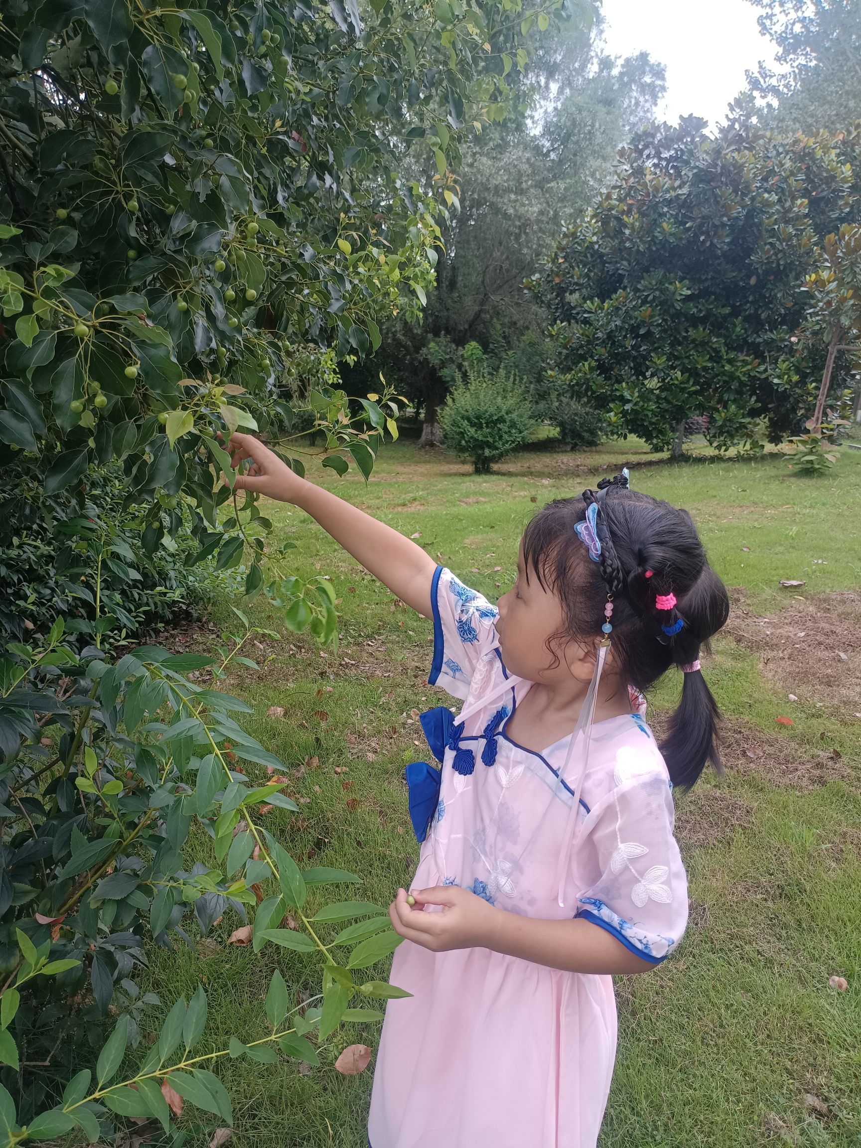 莲花湖公园旅行图片 2