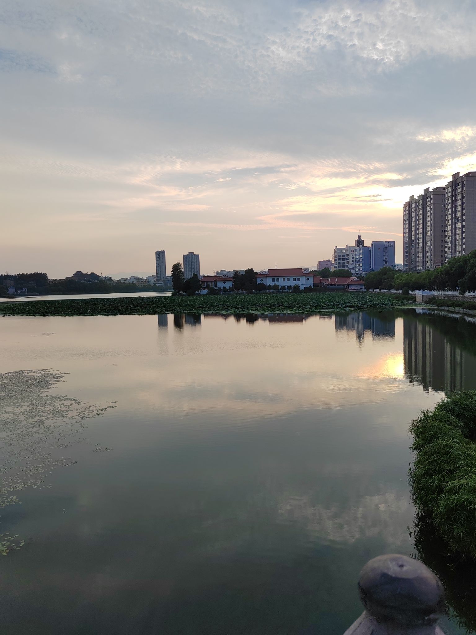 莲花湖公园旅行图片 1