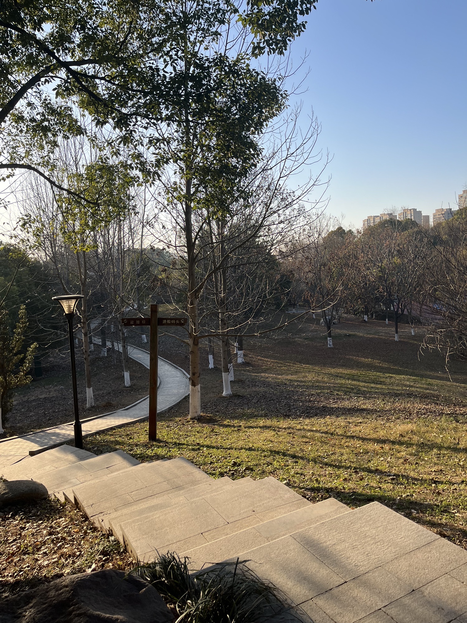 莲花湖公园旅行图片 1