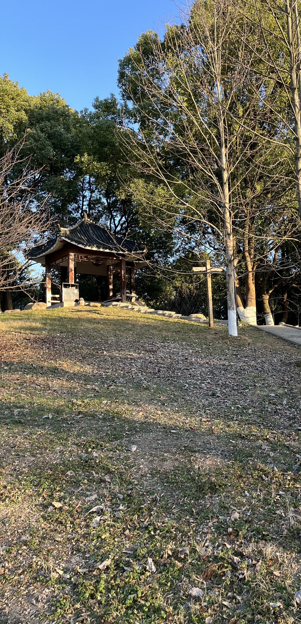 莲花湖公园旅行图片 3