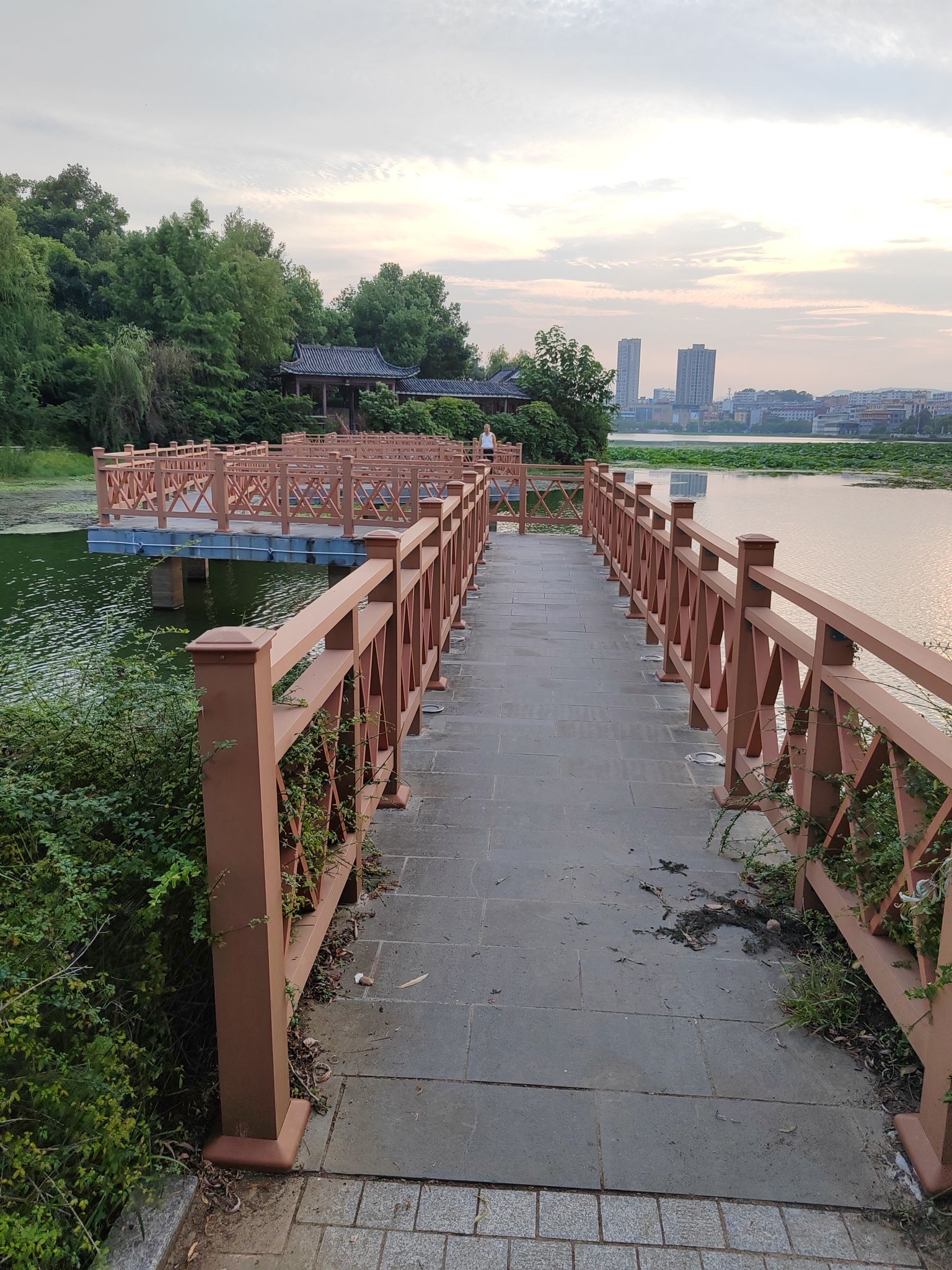 莲花湖公园旅行图片 2