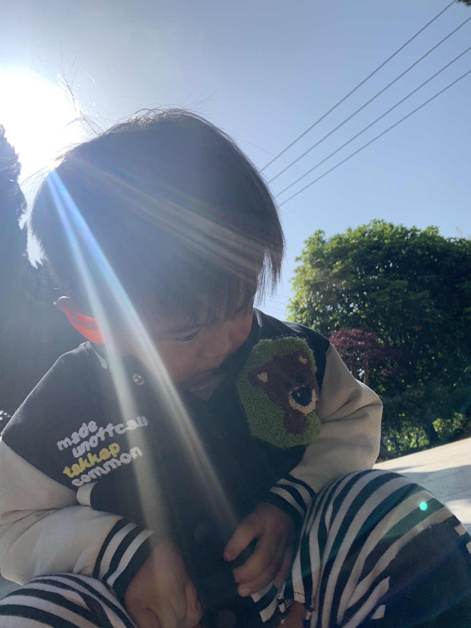 龙湖公园旅行图片 3