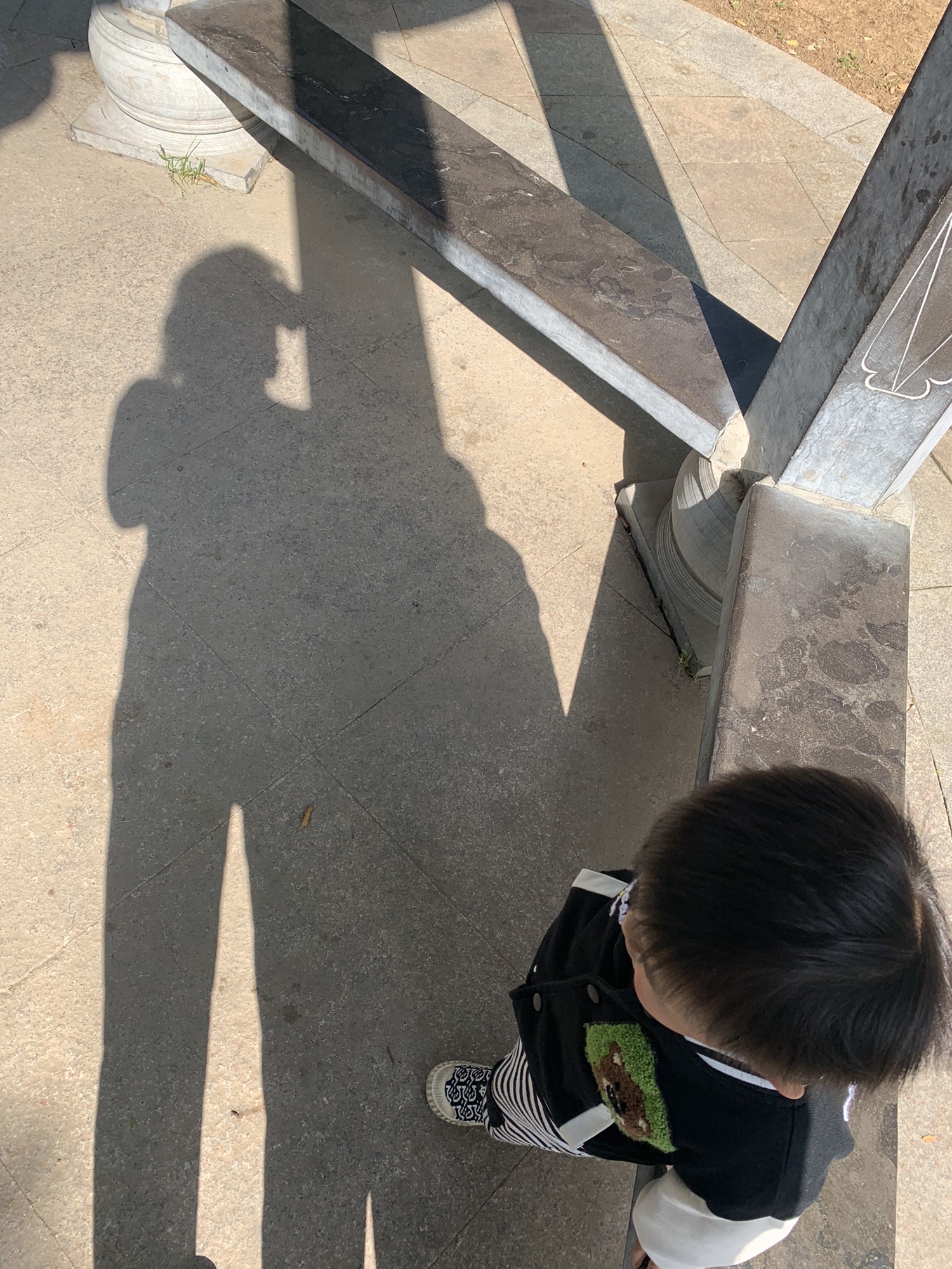龙湖公园旅行图片 1