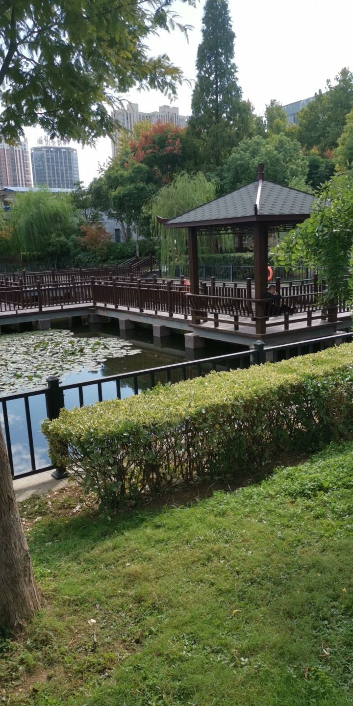 龙湖公园旅行图片 1