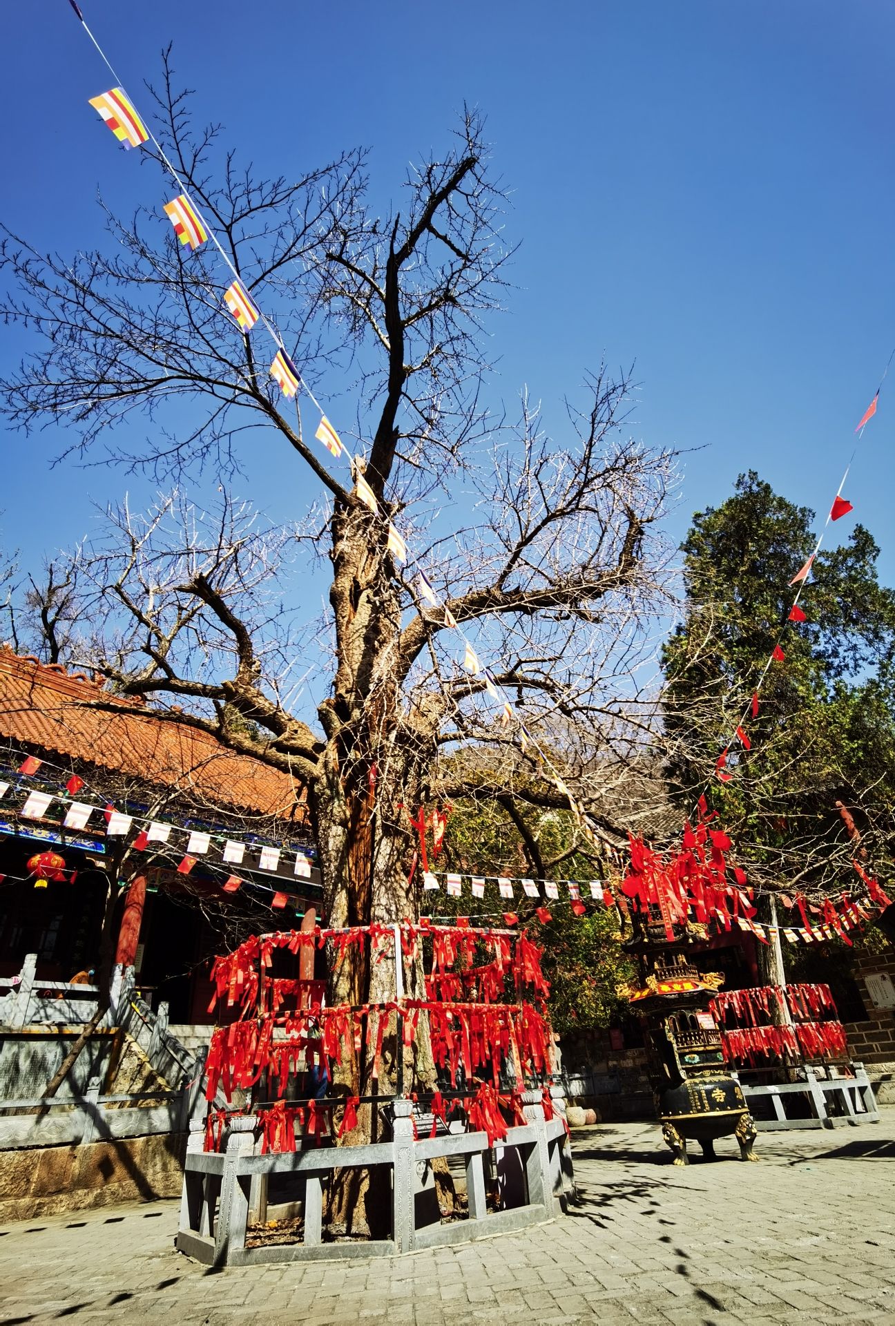 皇藏峪国家森林公园旅行图片 1