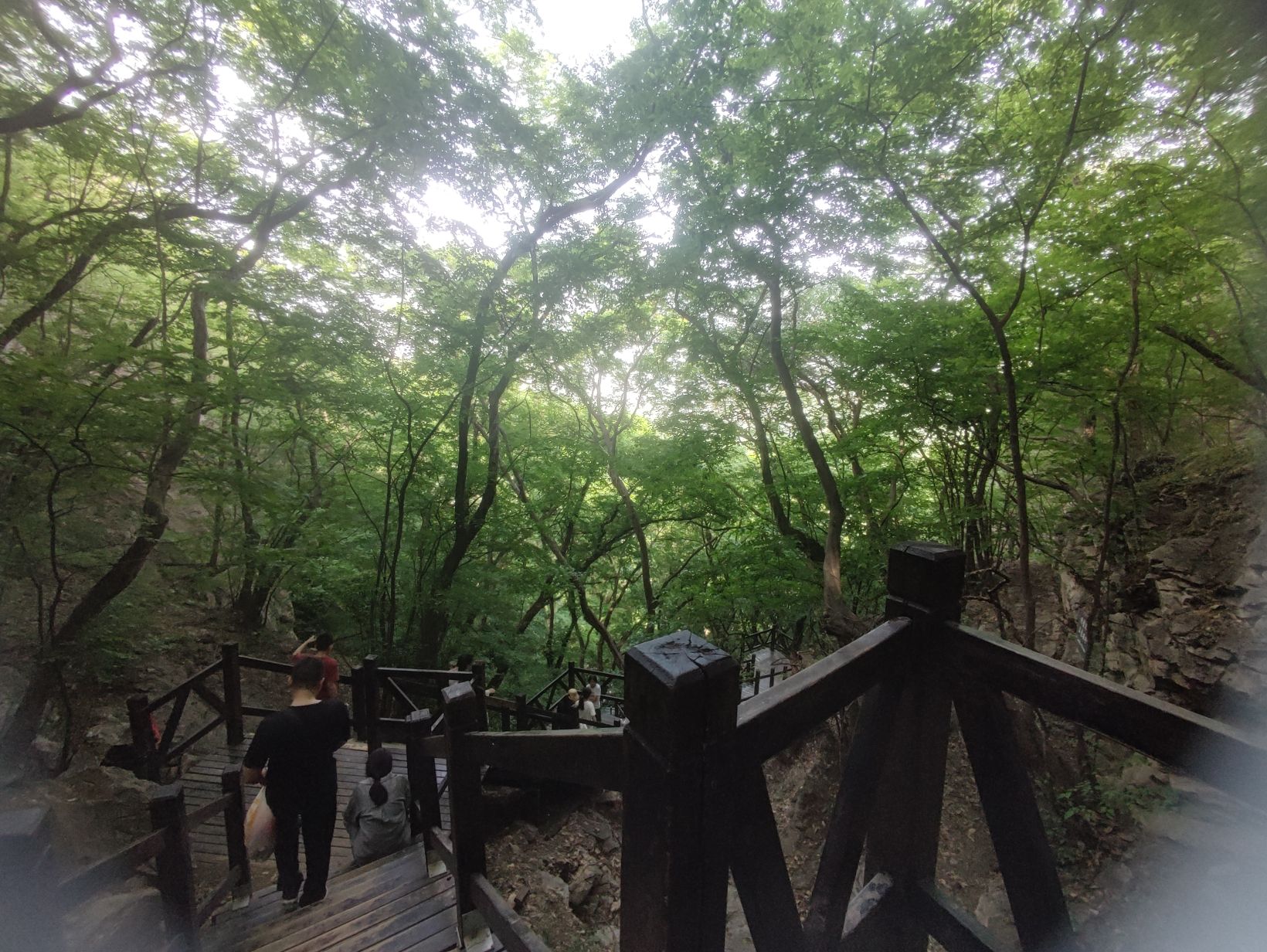 皇藏峪国家森林公园旅行图片 3