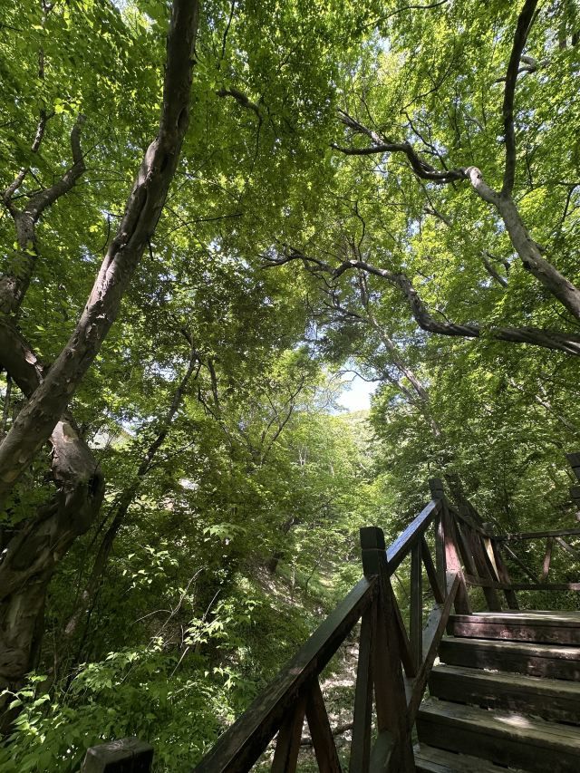 皇藏峪国家森林公园旅行图片 3