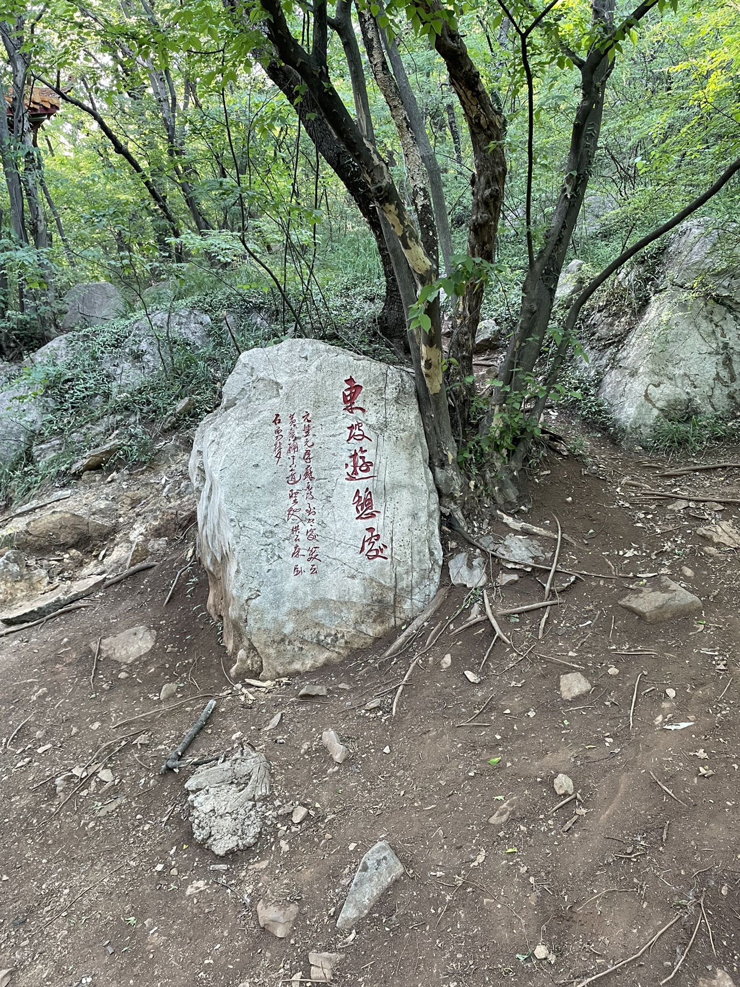 皇藏峪国家森林公园旅行图片 3