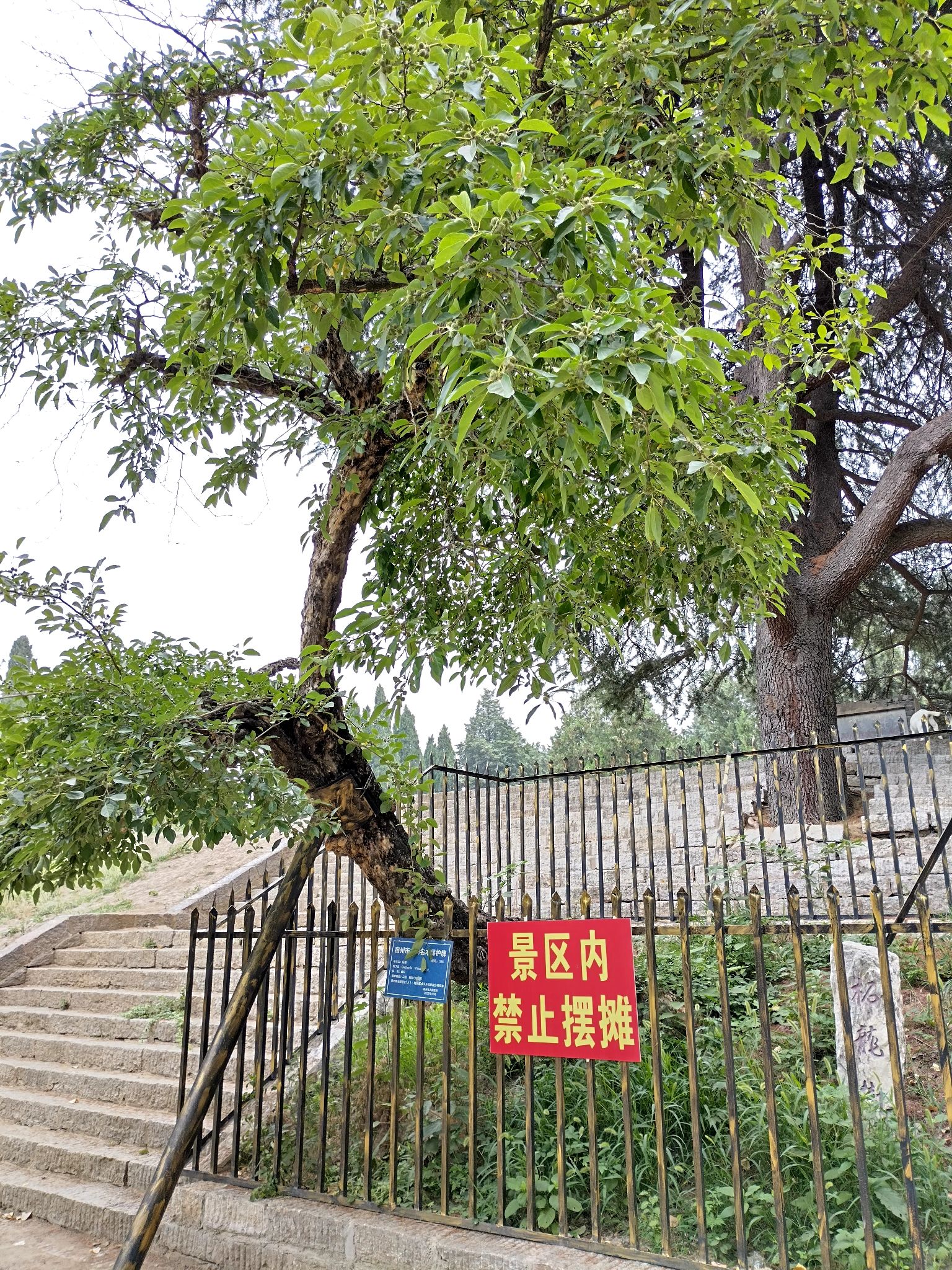 涉故台旅行图片 3