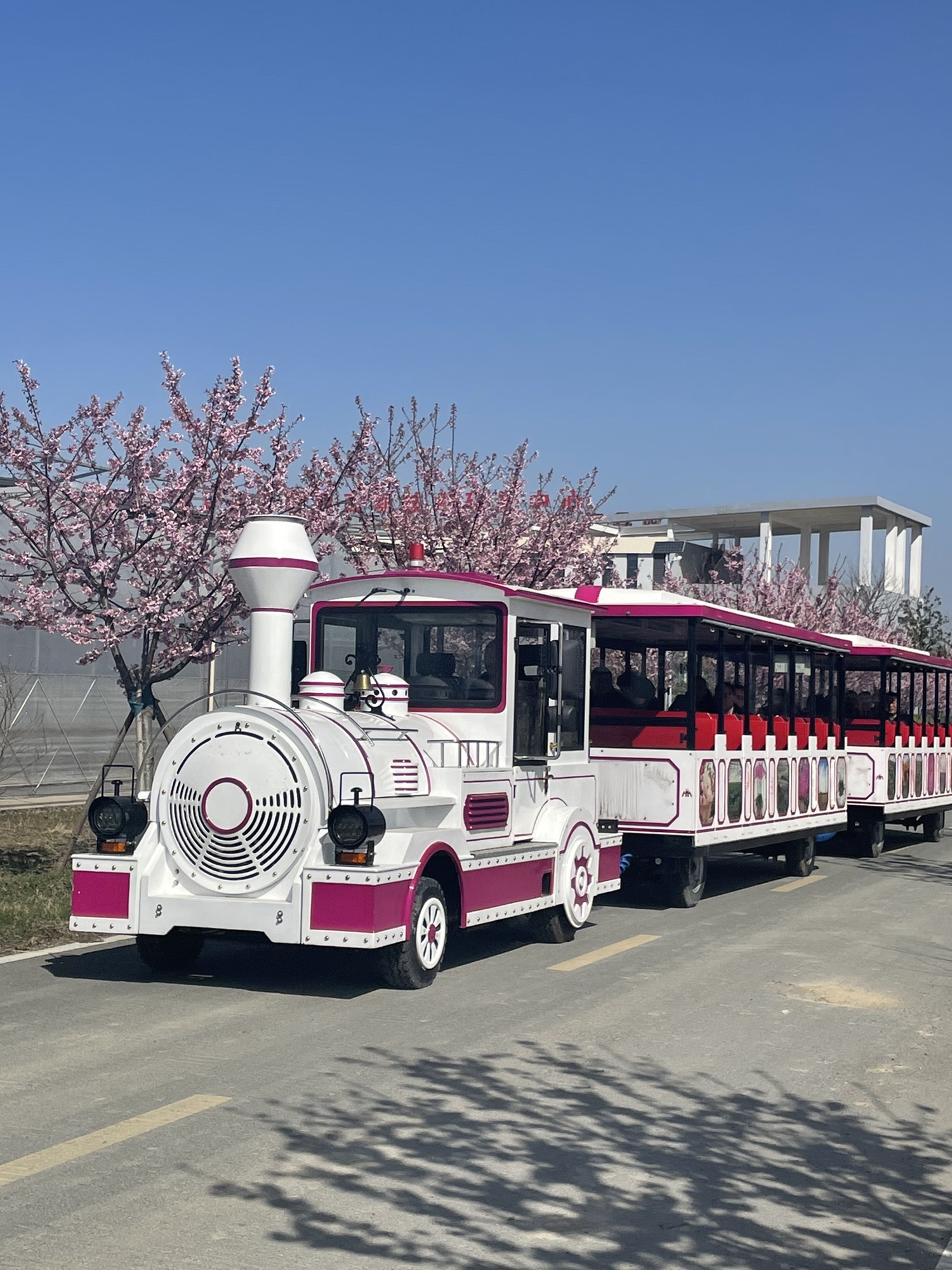 石龙湖湿地保护区旅行图片 1