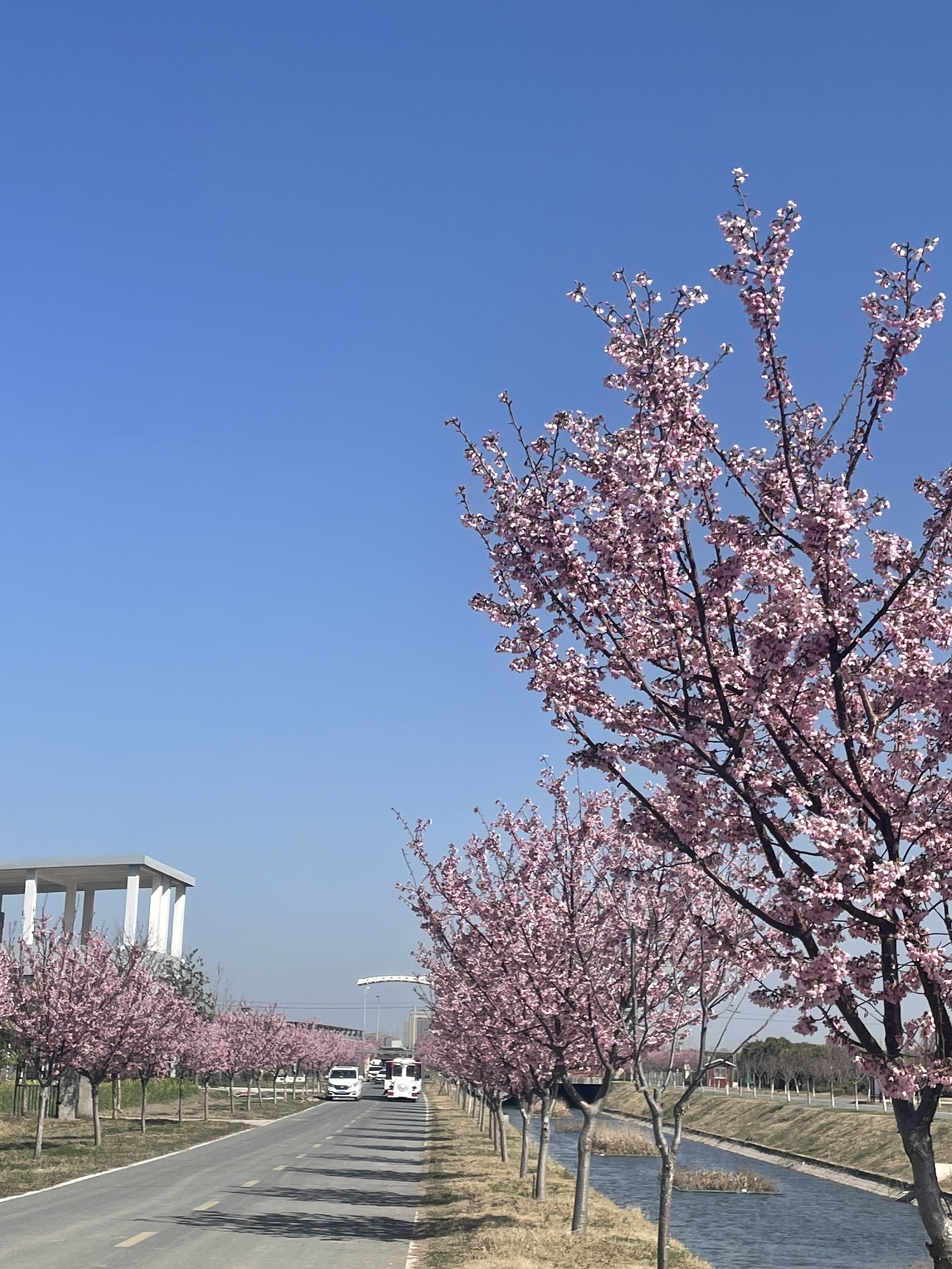 石龙湖湿地保护区旅行图片 2