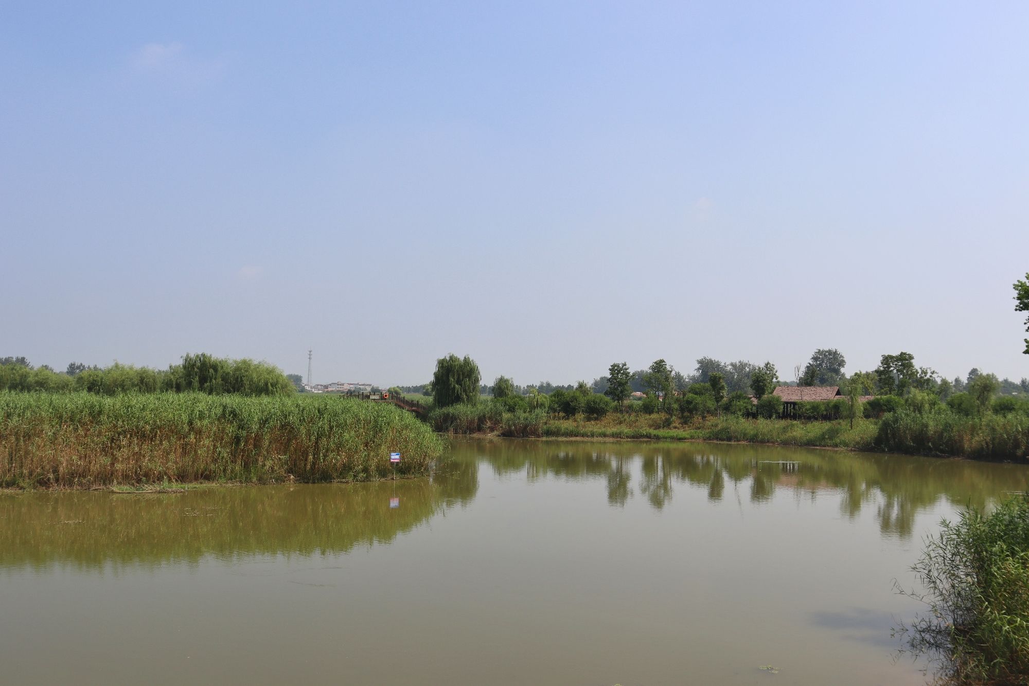 石龙湖湿地保护区旅行图片 2