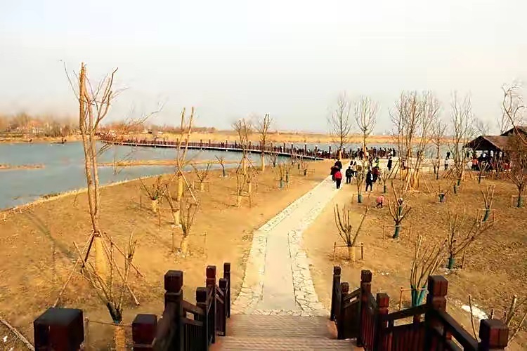 石龙湖湿地保护区旅行图片 1