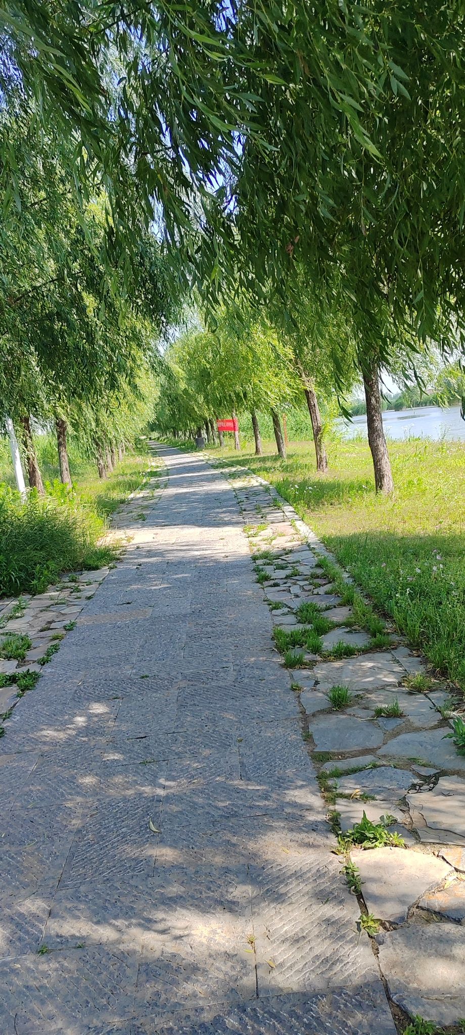 石龙湖湿地保护区旅行图片 1